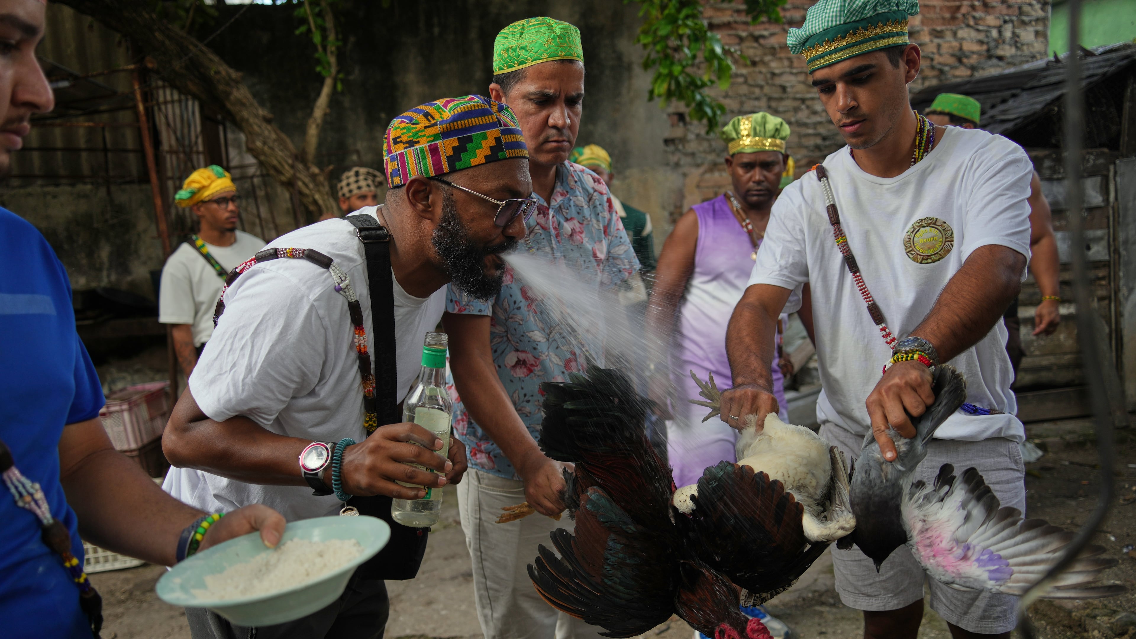Santeria priests, also known as Babalawos, perform a cleansing ritual with roosters during a ceremony calling for peace and health in Havana, Sunday, Jan. 25, 2026. (AP Photo/Ramon Espinosa)