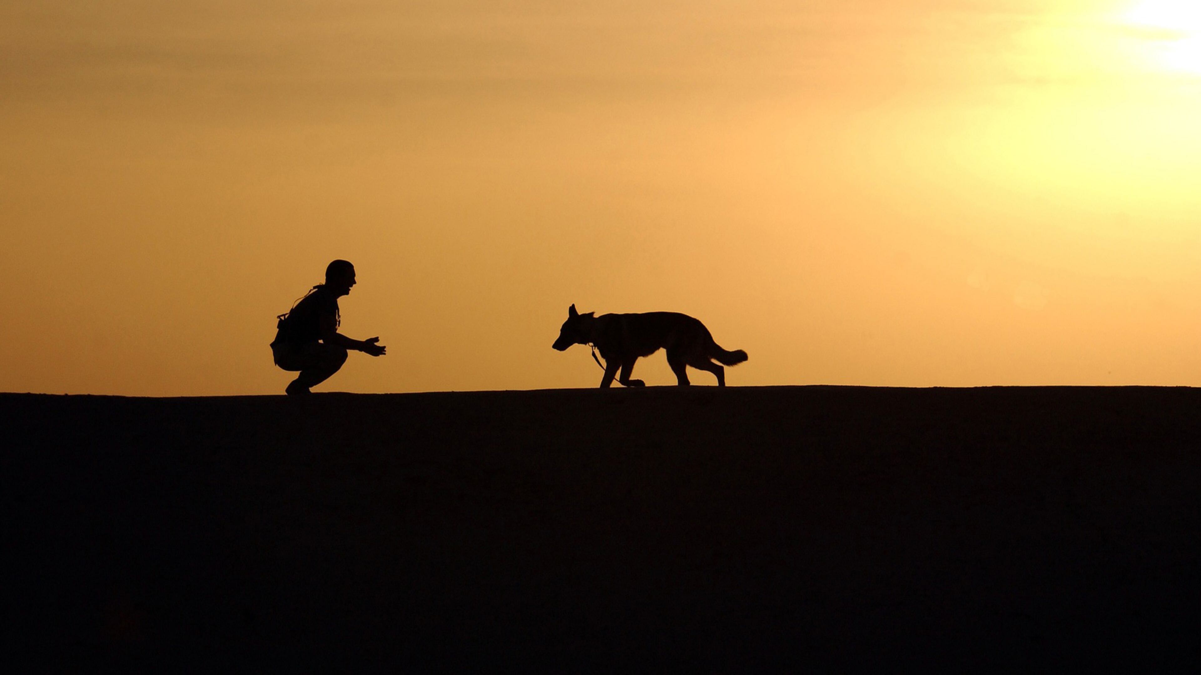 A blind and deaf dog who was at a Milwaukee animal shelter for months has found his forever home.