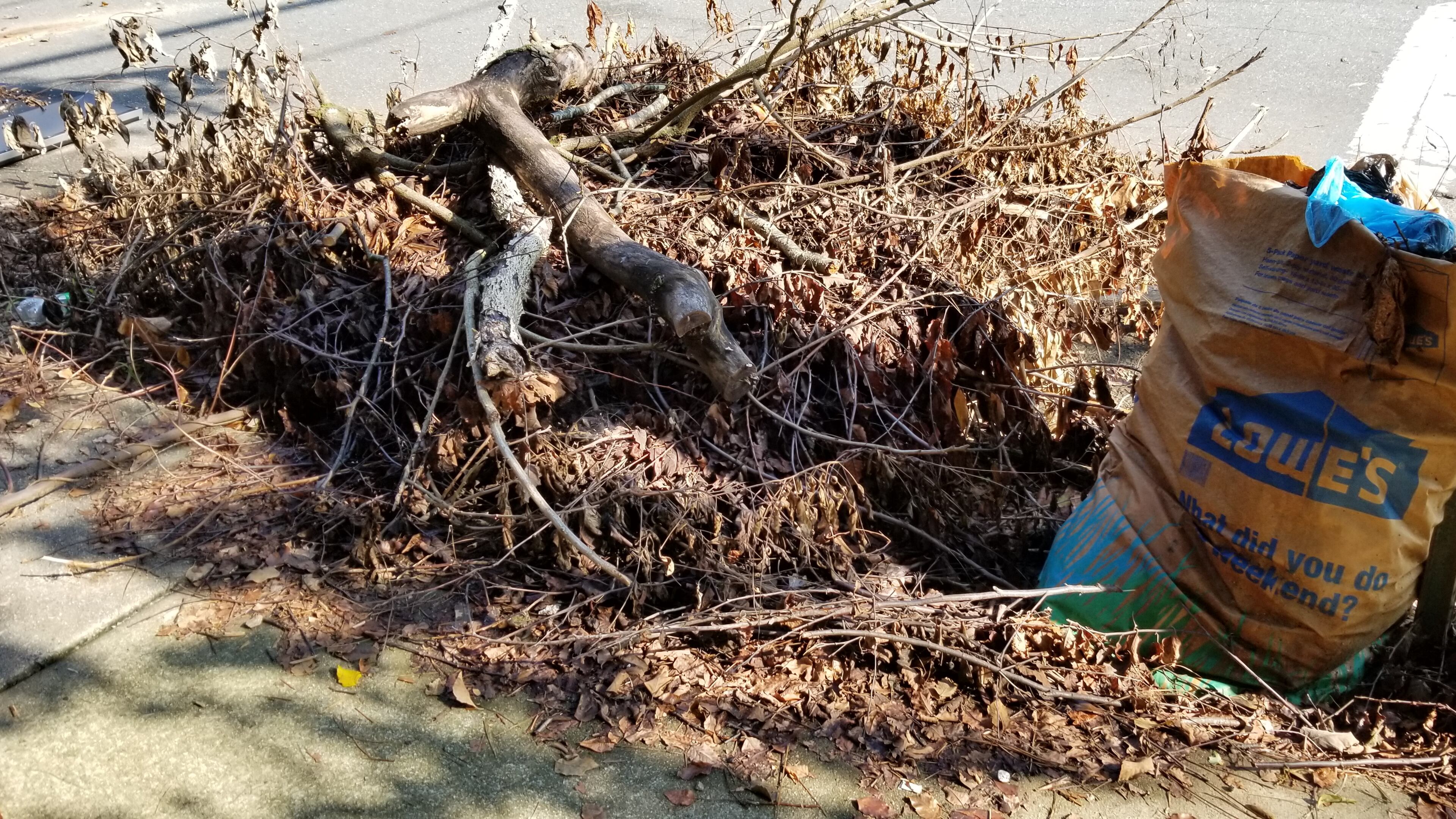 JoAnn Bogolin hopes this trash issue will soon be resolved.