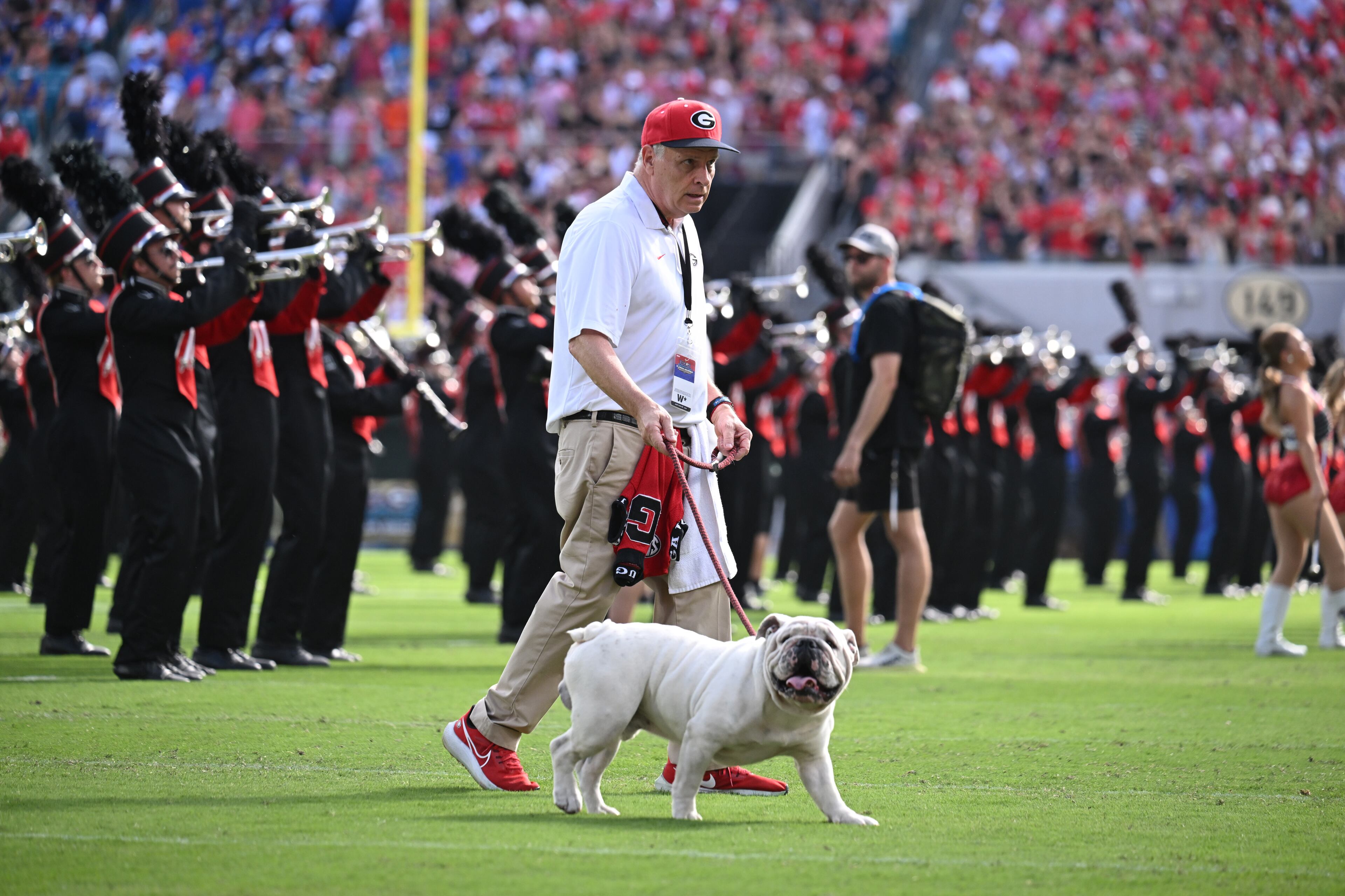 UGA XI, known as Boom, is escorted around the field by his handler Charles Seiler before the NCAA football game at EverBank Stadium, Saturday, November 2, 2024, in Jacksonville, Fla. Georgia won 34-20 over Florida. (Hyosub Shin / AJC)