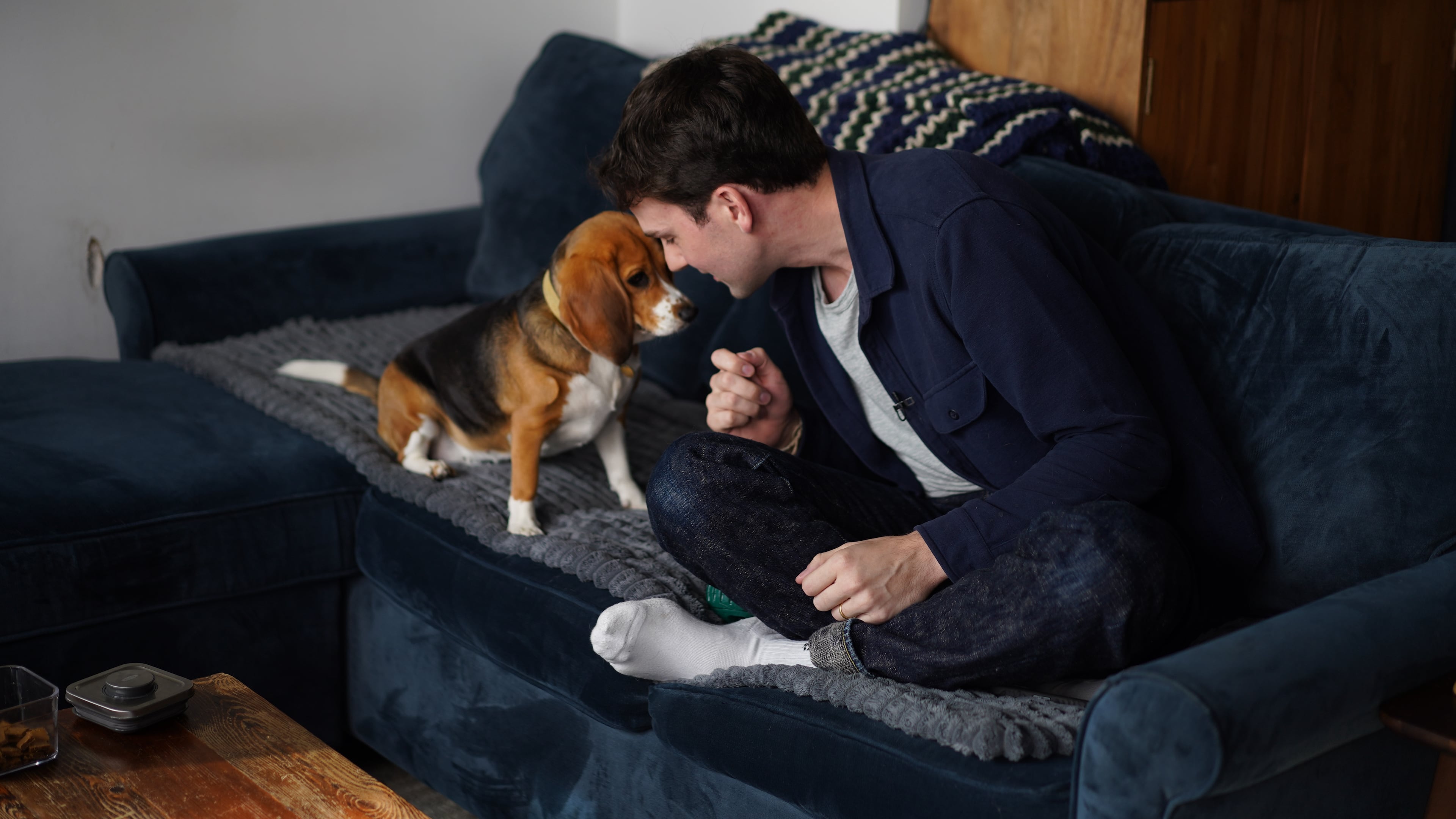 Matt Walker sits at home with Bailey, his gene-edited hypoallergenic beagle, in New York on Aug. 4, 2026. (AP Photo/Mary Conlon)