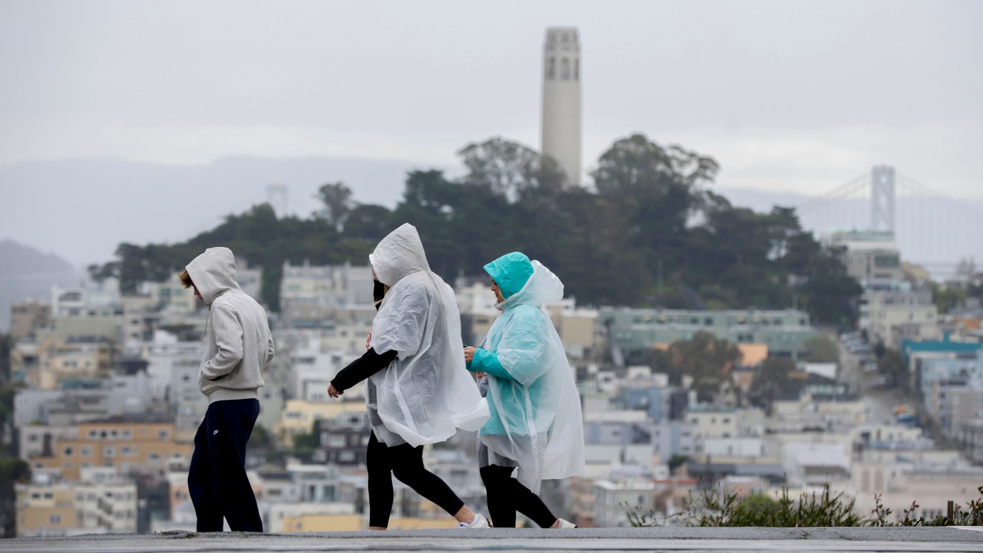 Visitors take in city views at Hyde and Lombard streets as rain begins to soak the Bay Area, in San Francisco, Sunday, Feb. 15, 2026. (Brontë Wittpenn/San Francisco Chronicle via AP)
