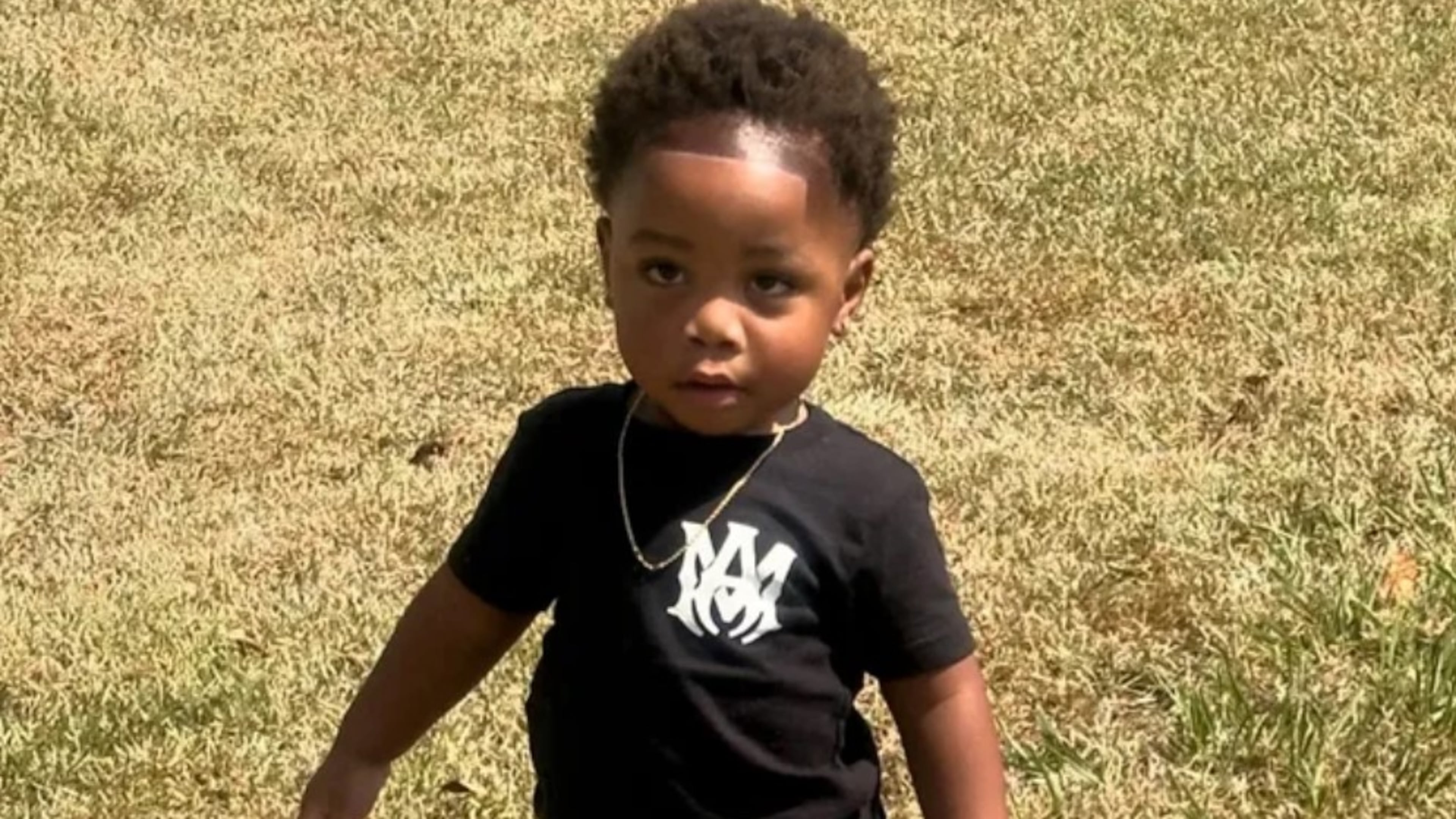 Kaimir Jones, 2, died Saturday when he was attacked by dogs at his babysitter's home, according to Valdosta police. (GoFundMe)