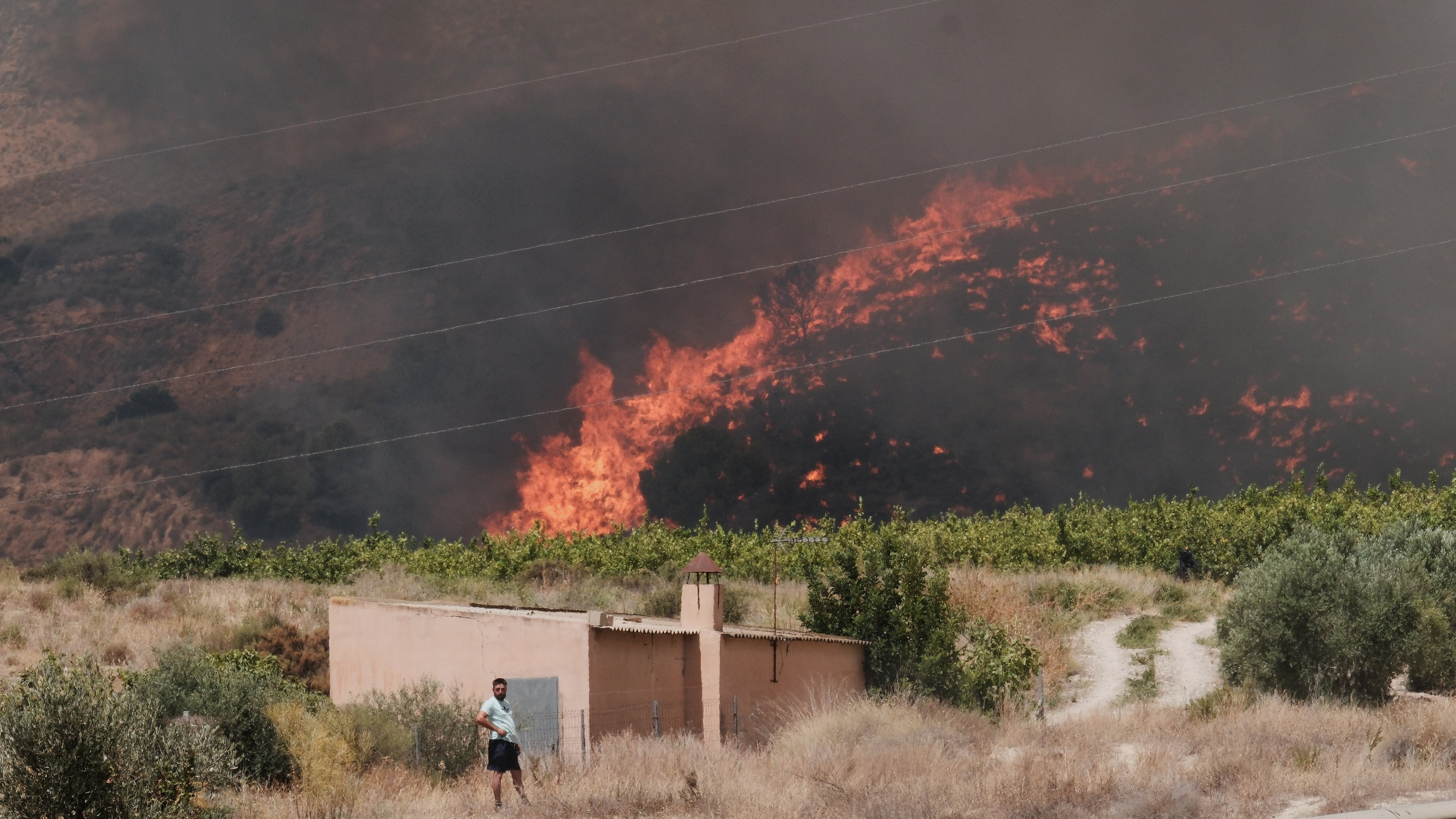A wildfire rages in Alfajir, near Almeria in southeastern Spain, Friday, July 10, 2026. (AP Photo/Gregorio Marrero)