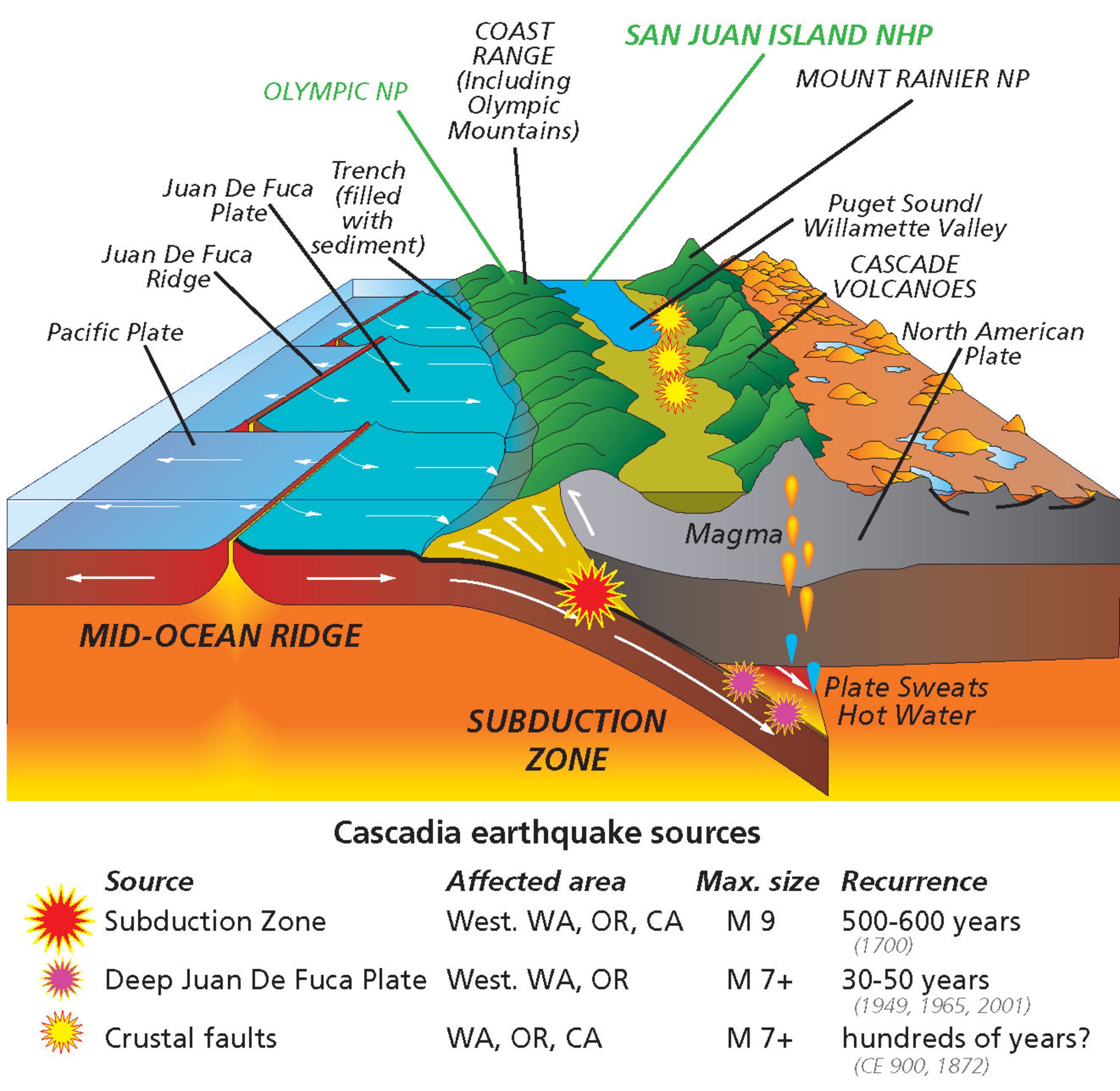 This image of the Cascade Subduction Zone, shows the location of the trench, the downgoing slab, the active volcanoes and some major earthquakes. Click here to read 7 things to know after the New Yorker article. (Image: National park Service)