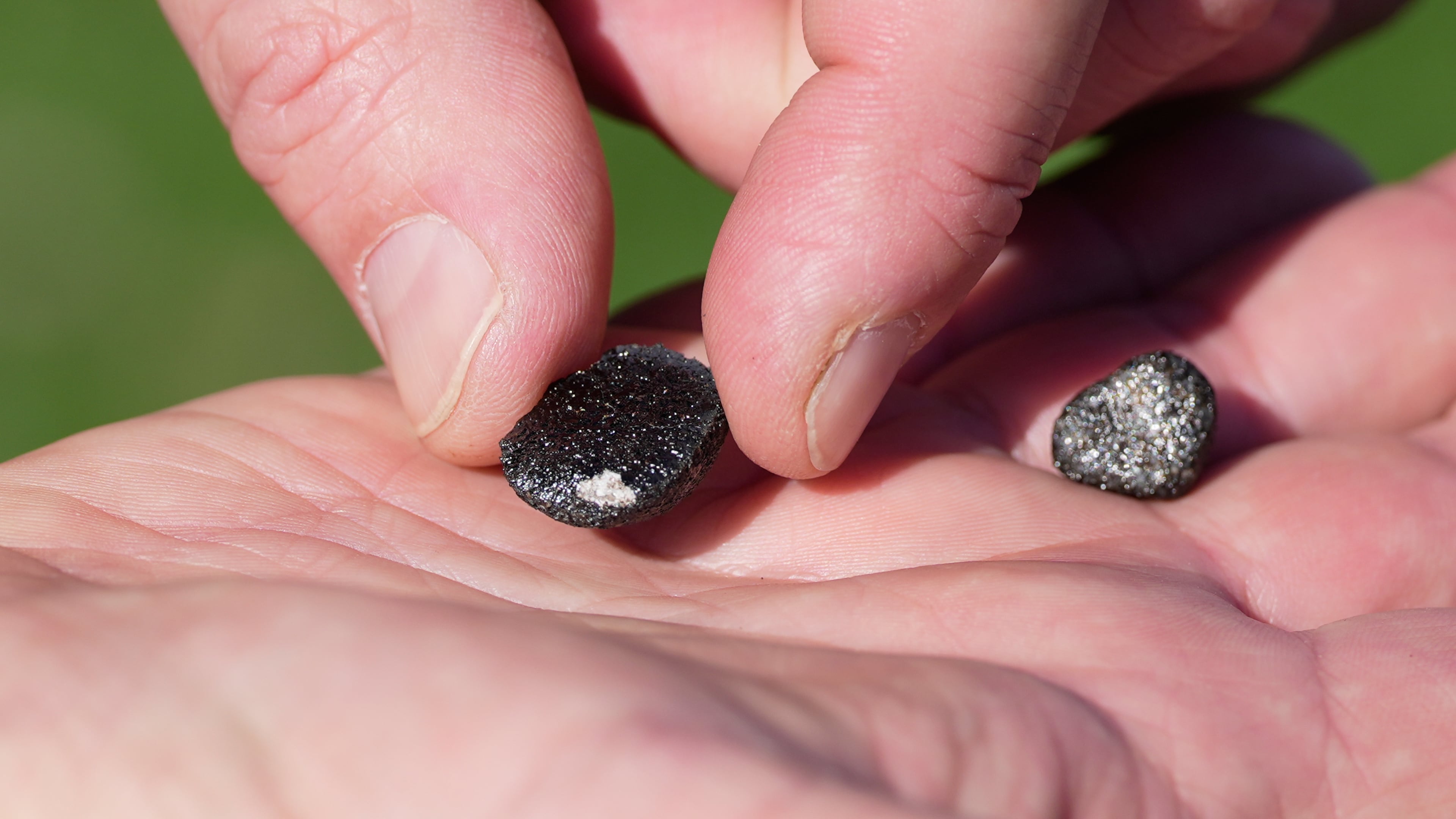 Mike Hankey, of Baltimore, operations manager for the American Meteor Society, shows meteorites in Sharon Center, Ohio, Thursday, March 19, 2026, which he found in the area after a meteor crashed March 17. (AP Photo/Sue Ogrocki)