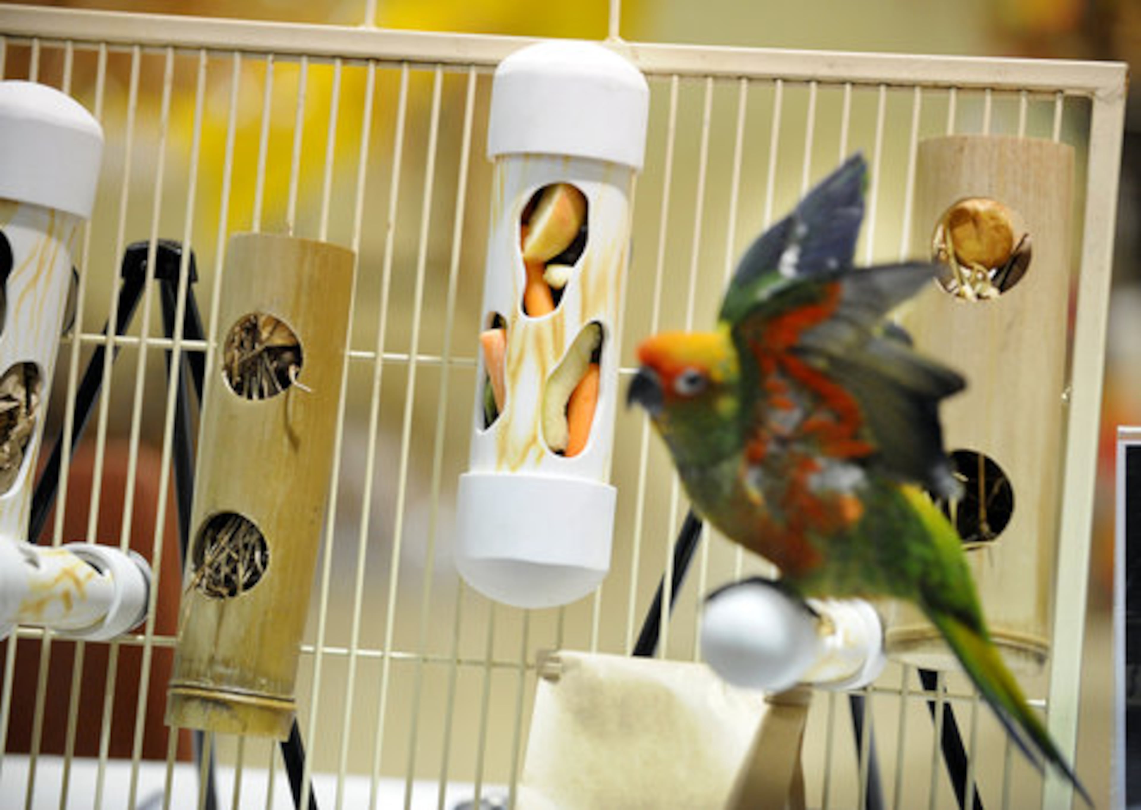 Foraging feeders, displayed at the fair by Foraging Ahead of Gainesville, Fla., are designed to enrich a bird's mind and body by encouraging more natural eating habits and to keep the bird from getting bored.