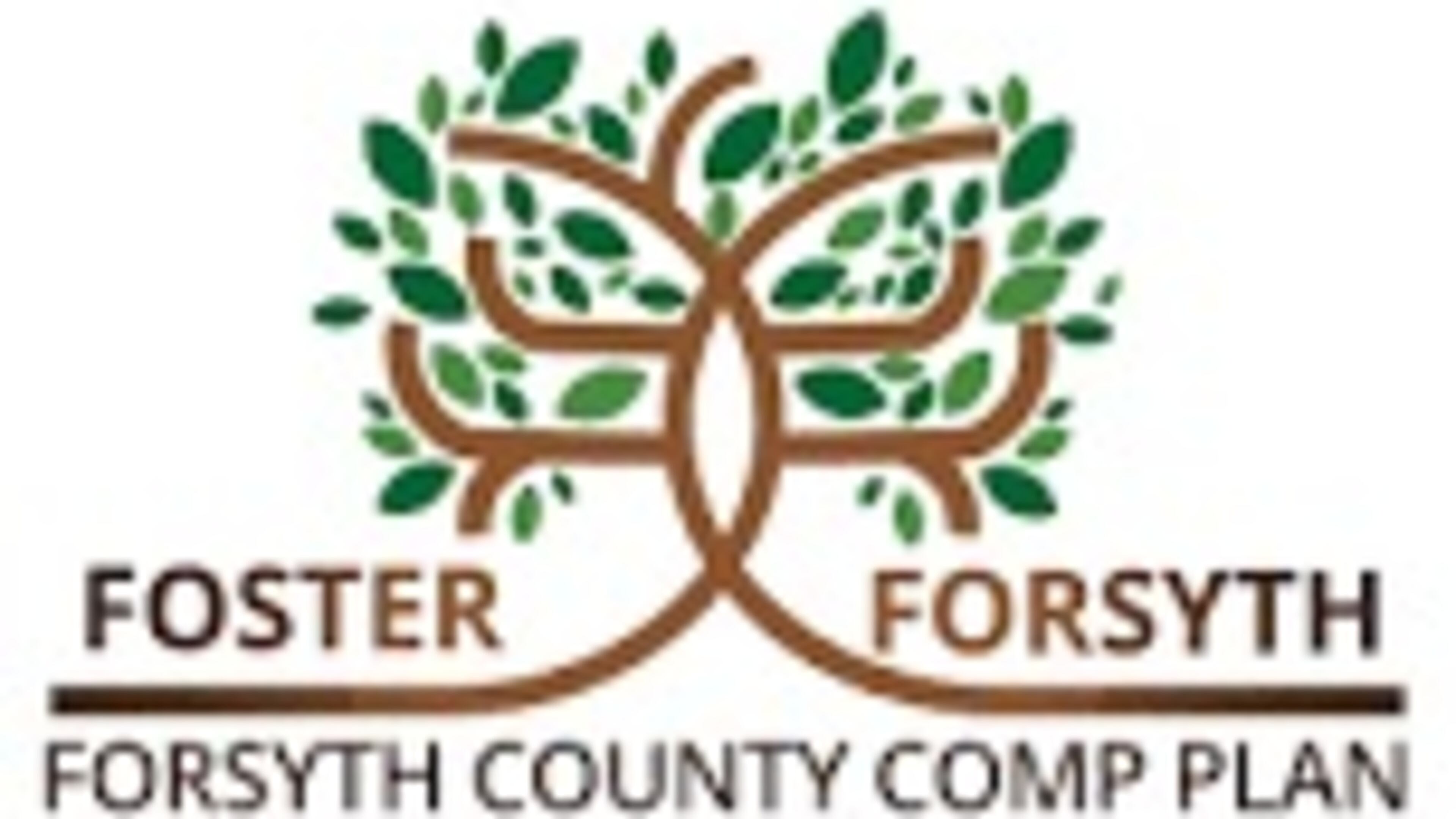 “Foster Forsyth” is what county officials have dubbed the long-range planning document taking the county to 2037.