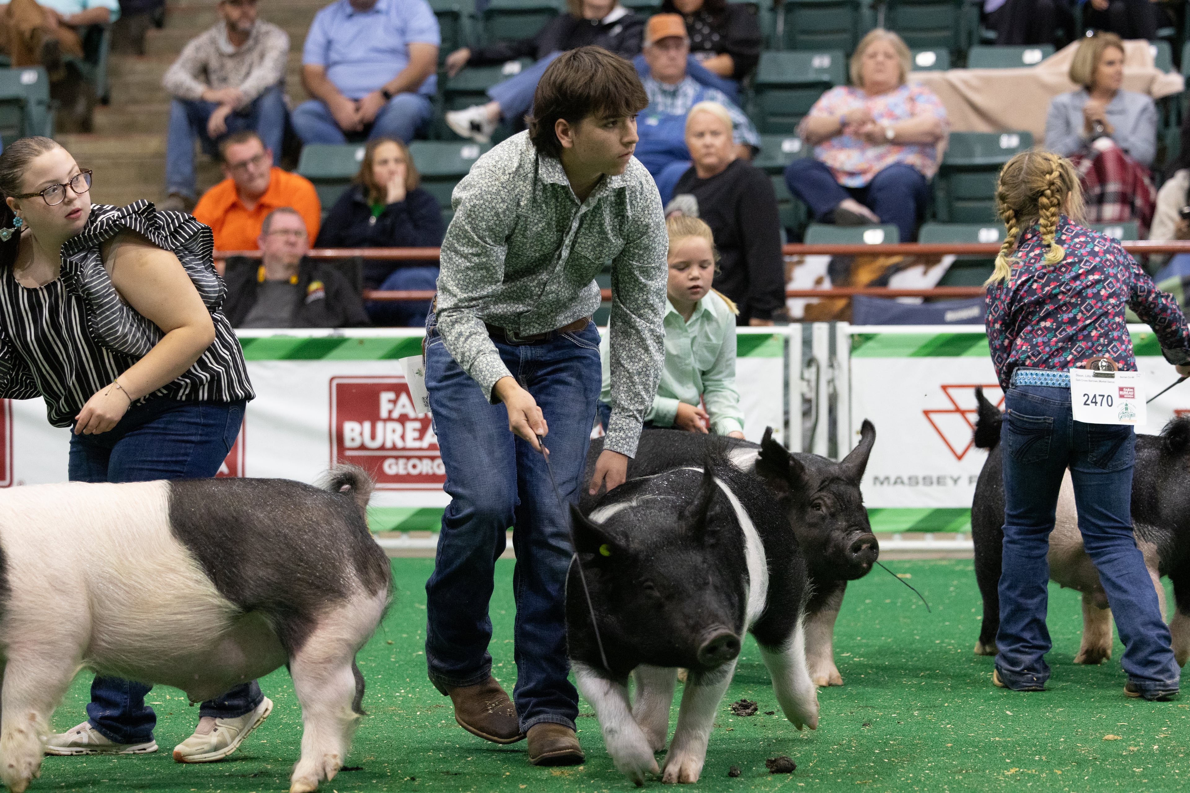 Breyden McGowan looks up at the judge while showing his pig, Dexter, amongst the other competitors at the 37th annual Georgia National Fair on Saturday, October 17, 2026. His first time showing at the fair, he won fourth place in his showing. (Wesley Webb/UGA Photojournalism Workshop)