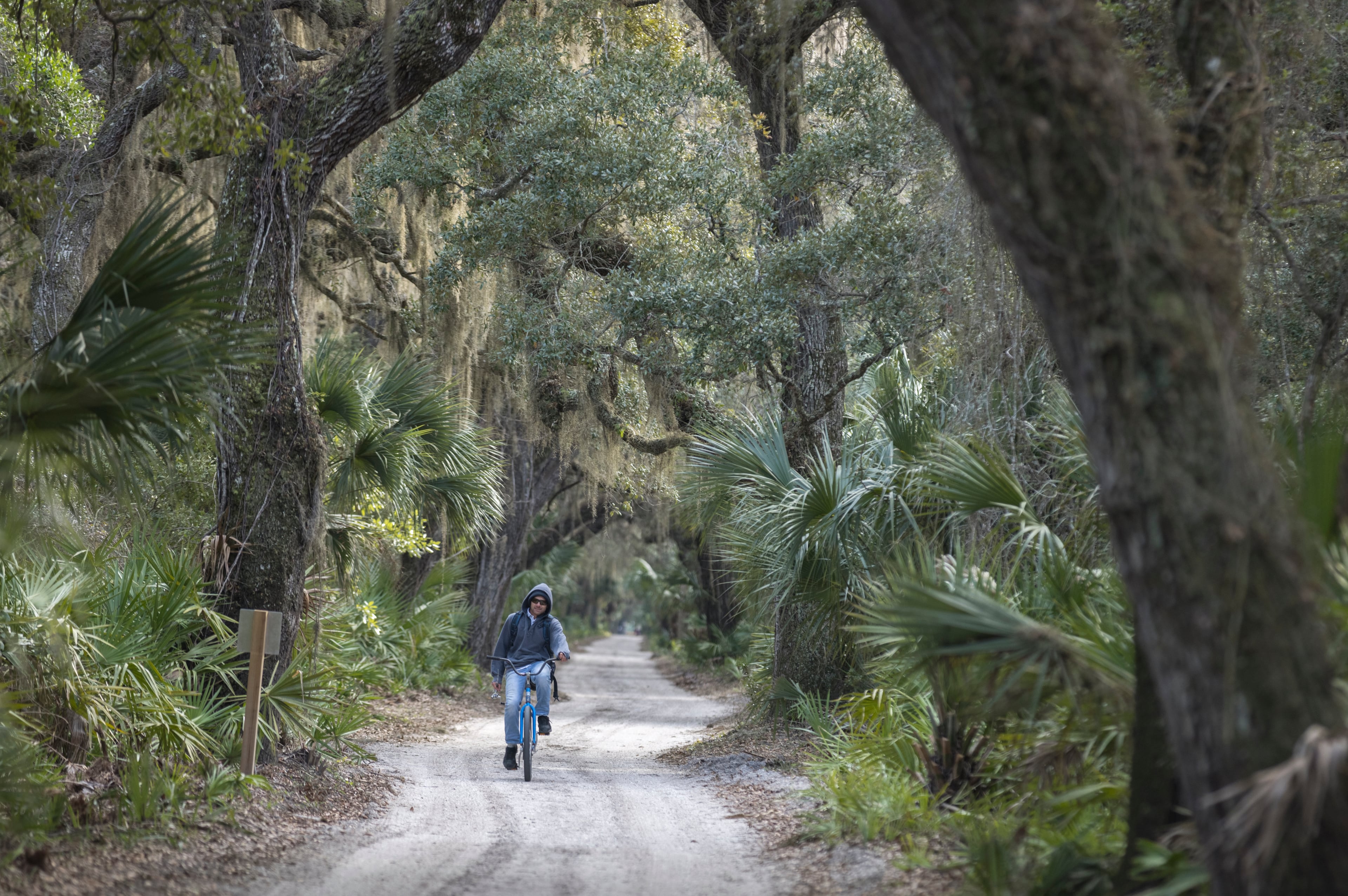 A NEW VISITOR PLAN THAT'S BEEN PROPOSED FOR THE CUMBERLAND ISLAND NATIONAL SEASHORE
