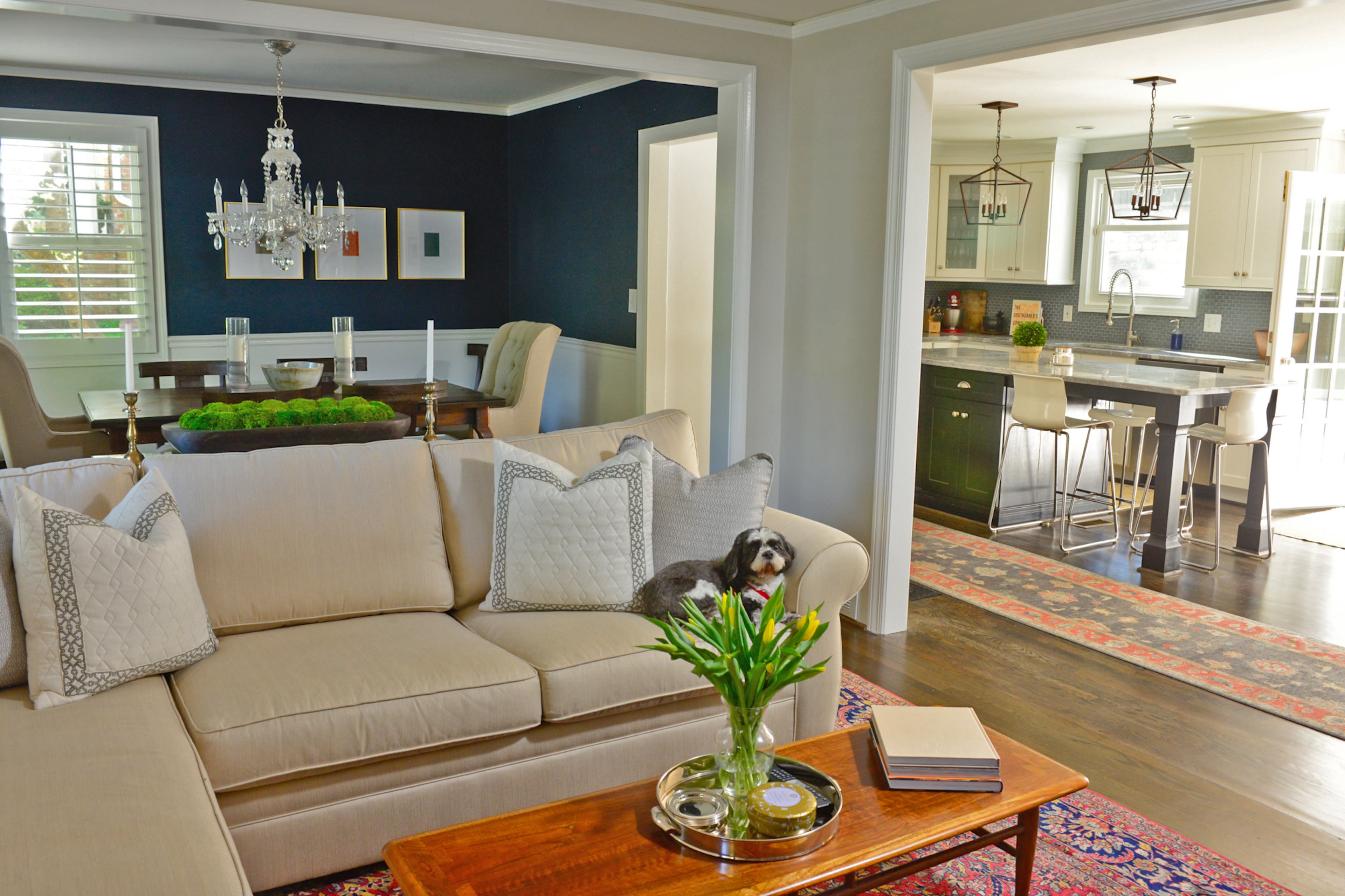 The homeowners’ Shih-Tzu, Bob, sits on the Pottery Barn couch. By removing a guest bathroom in their original 1950s floorplan, Katherine and Bill opened the main areas of their home and created an unrestricted flow between the kitchen, living room and dining room.