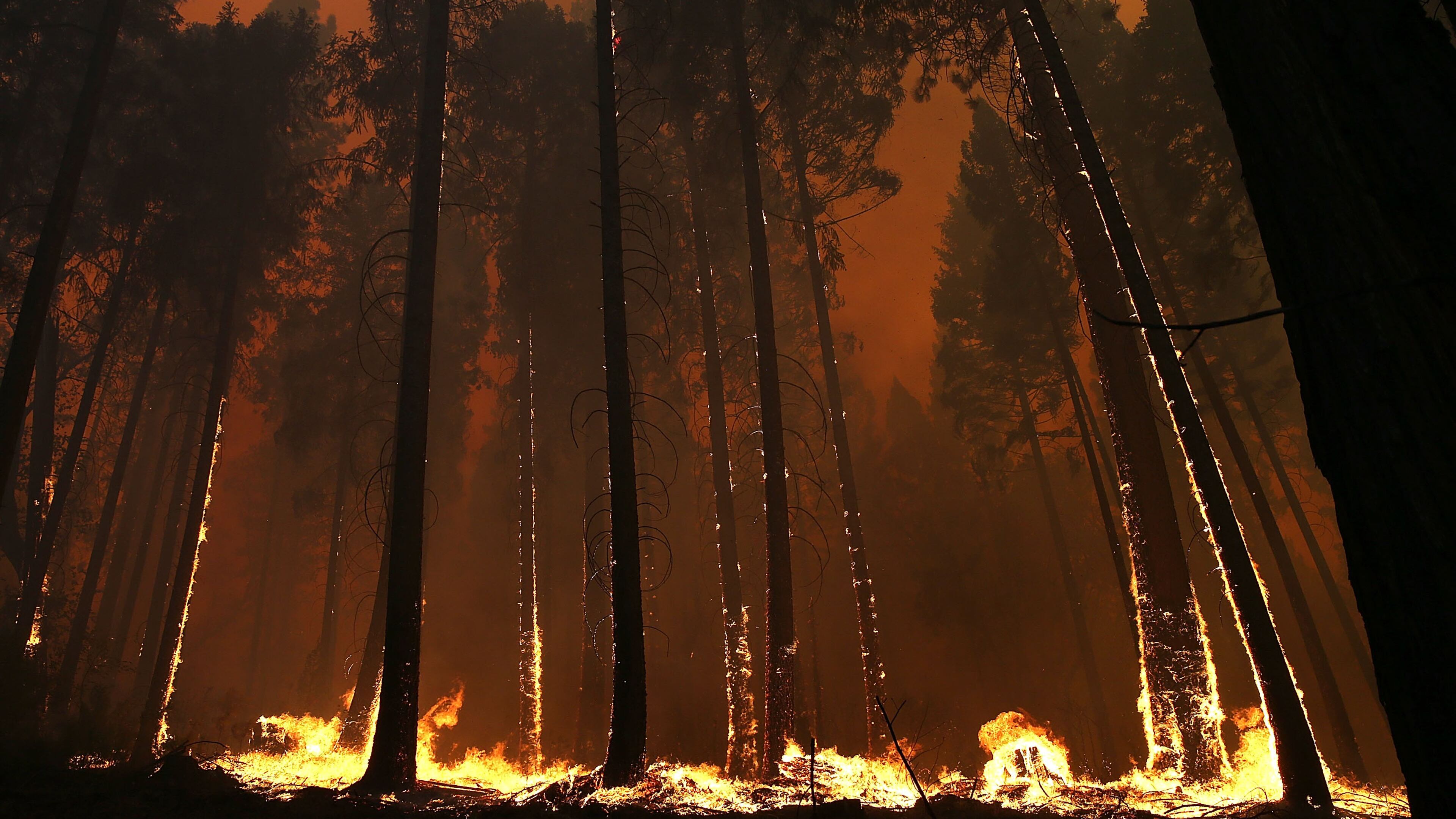 Firefighter Braden Varney was killed Saturday while battling a wildfire near Yosemite National Park, Cal Fire said.