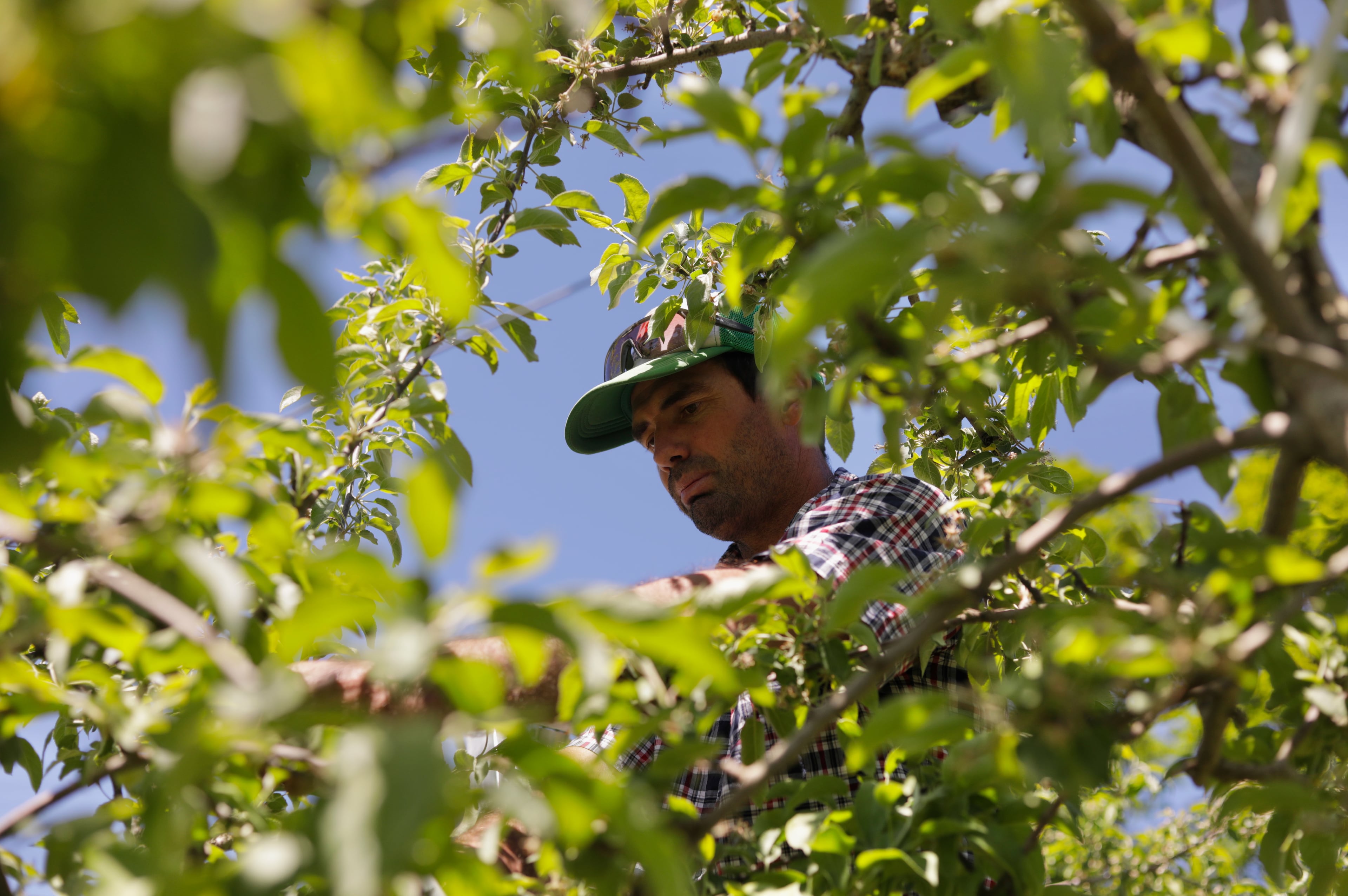 Vermont Paraquat Ban