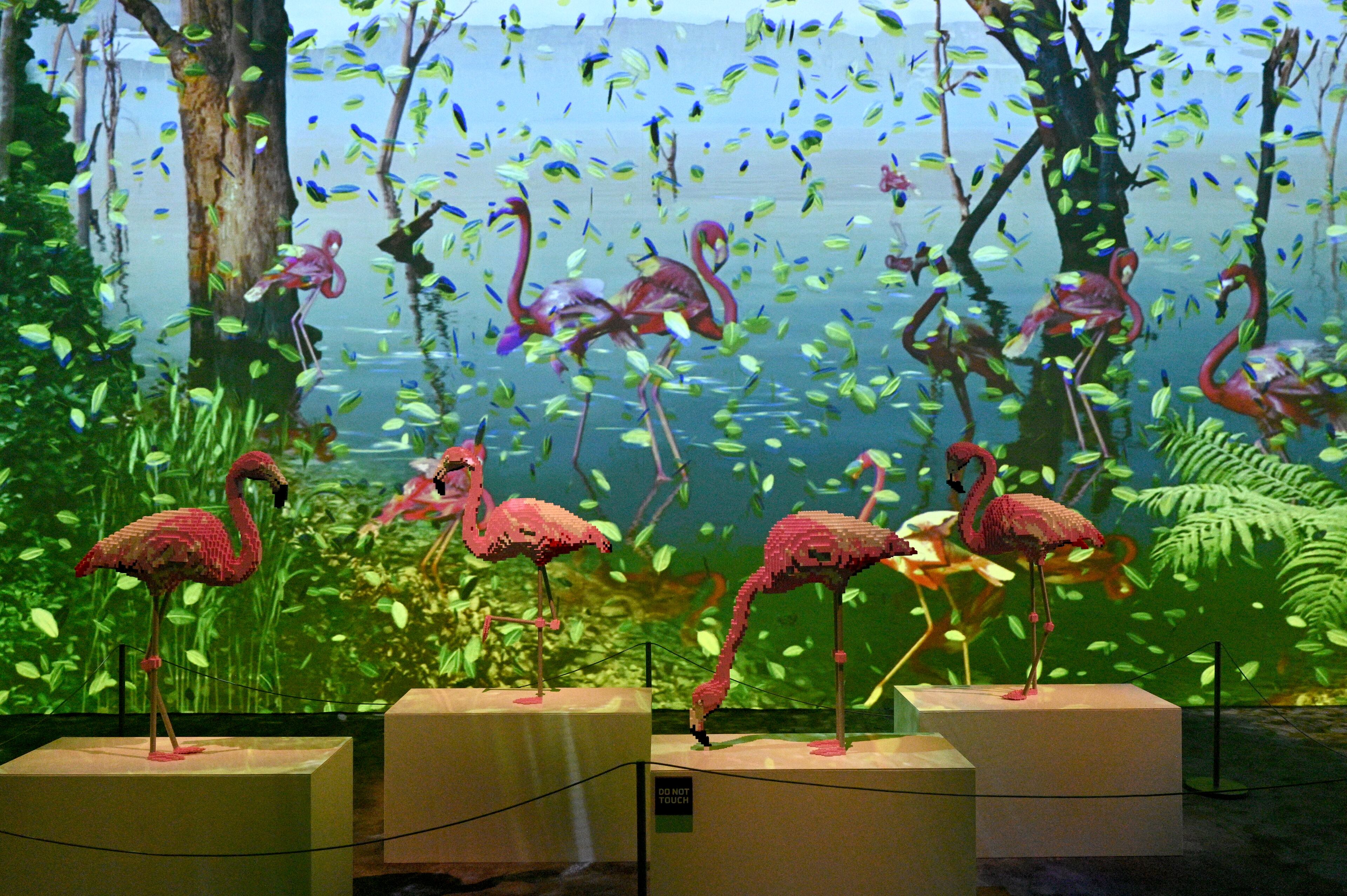 “Chilean Flamingo” made with 10,254 Lego bricks in “Perniciem” room at "Art of the Brick Immersive Experience" exhibition at Exhibition Hub Atlanta Art Centre, Wednesday, April 19, 2023, in Doraville. The exhibition will feature many pieces and themes, including a room with oversized sculptures (25-foot long), over 70 works of art crafted from more than 1 million LEGO bricks, galleries celebrating human-kind and nature, and a short documentary about how Nathan creates his works. (Hyosub Shin / Hyosub.Shin@ajc.com)