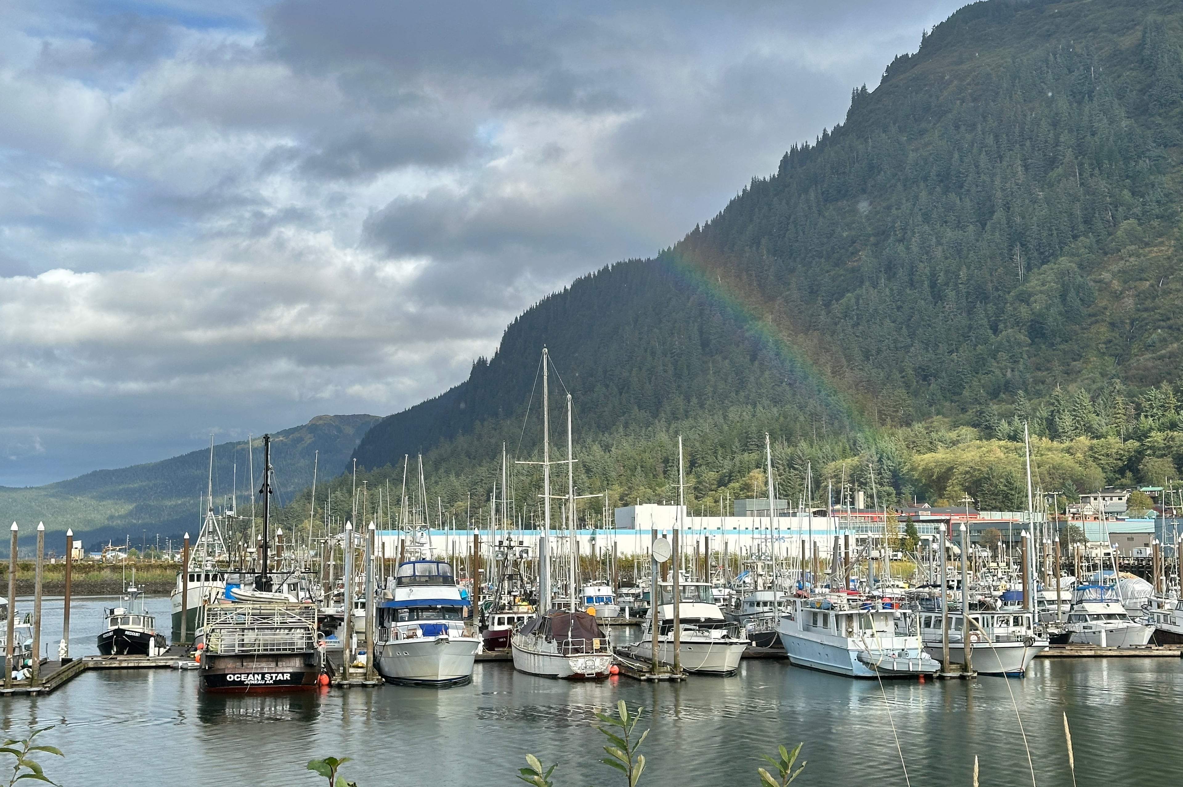 Election 2026 Alaska