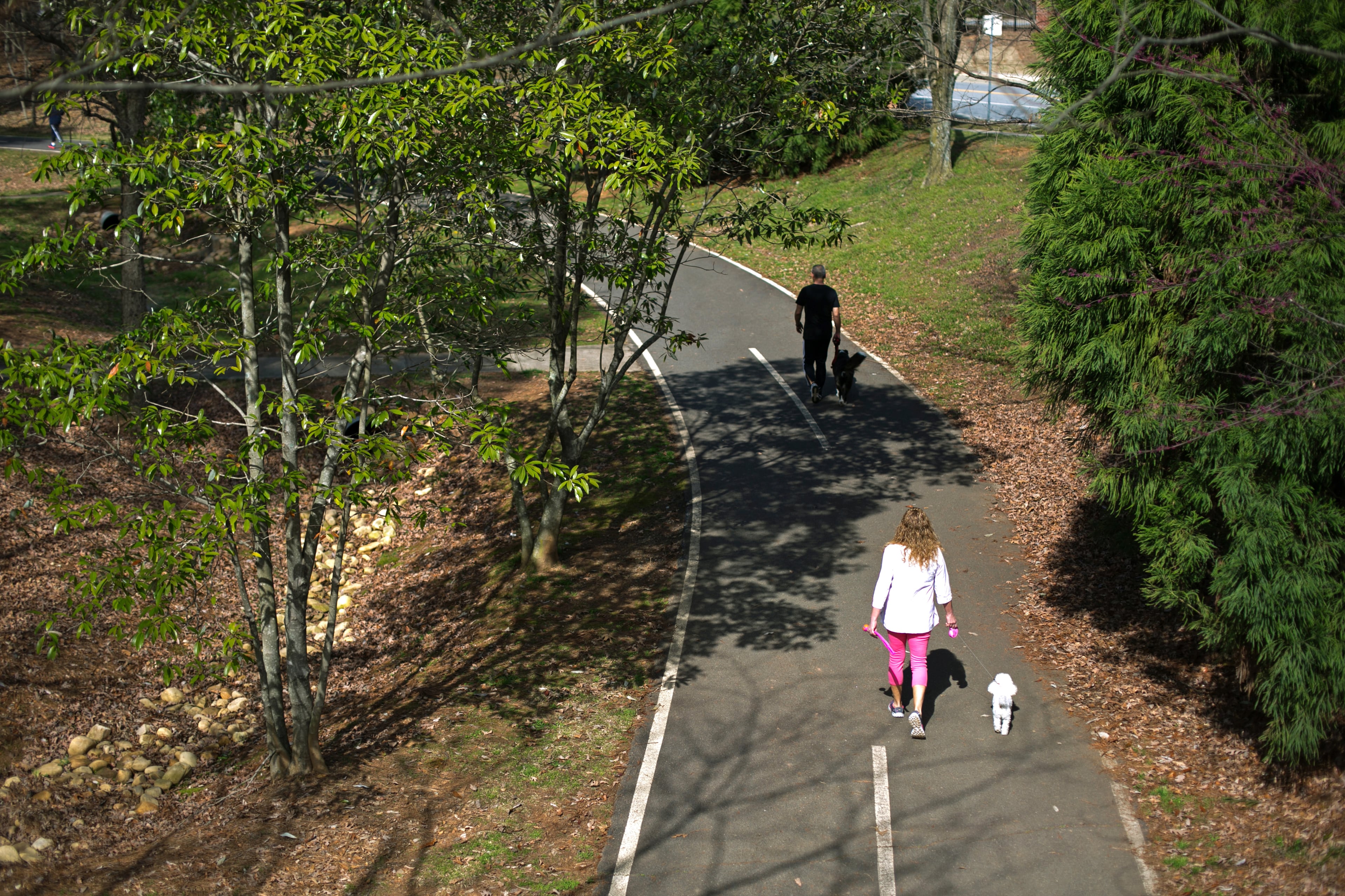March 21, 2015 - Johns Creek, Ga: Visitors walk their dogs on the trails at Newtown Park Saturday, March 21, 2015, in Johns Creek, Ga.. This is for a story on the Newtown community. PHOTO / JASON GETZ