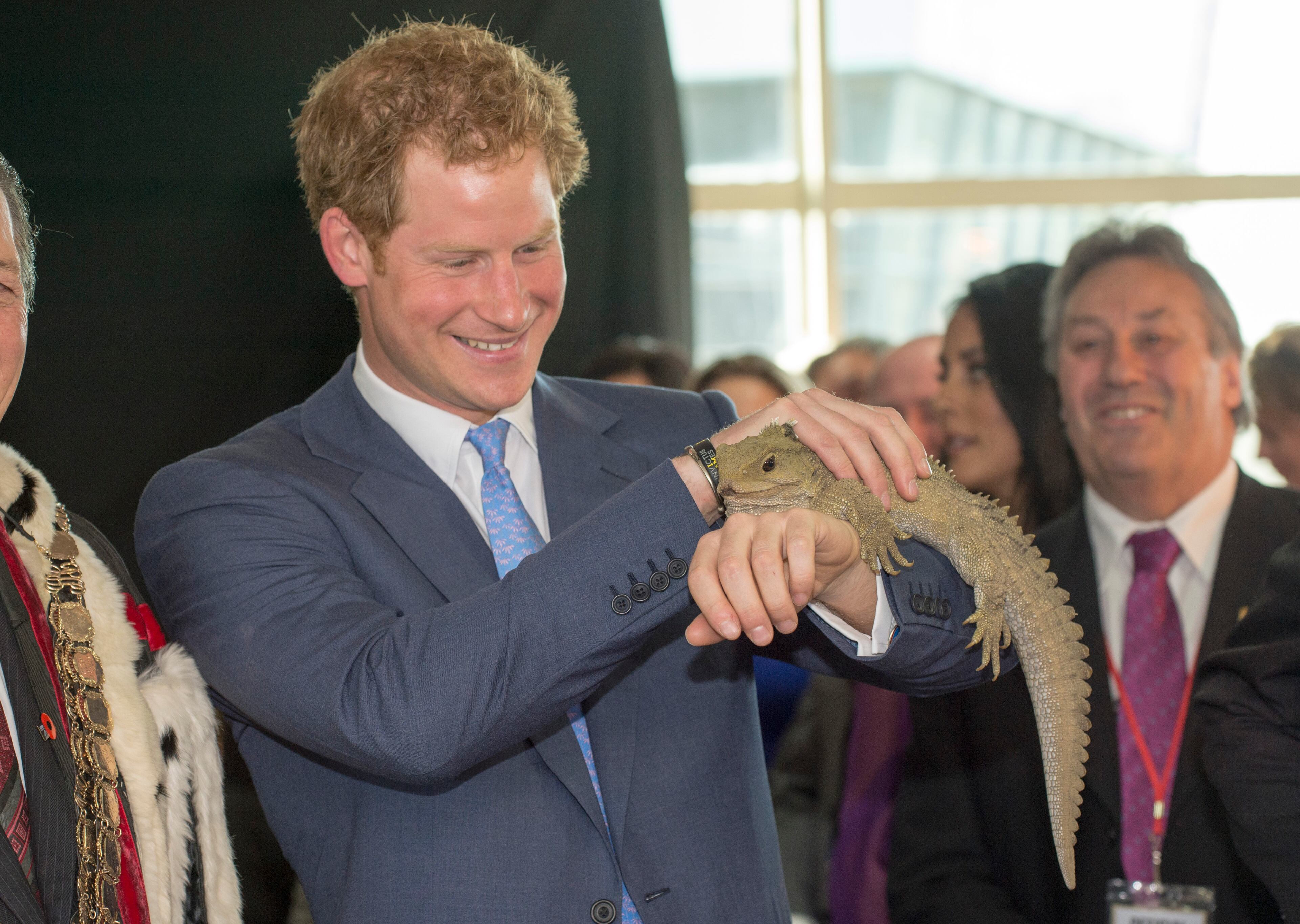 Prince Harry is welcomed by a 100-year-old Tuatara lizard called Henry after landing in Invercargill on his way to Stewart Island as part of his first visit to New Zealand on May 10, 2015, in Invercargill, New Zealand.
