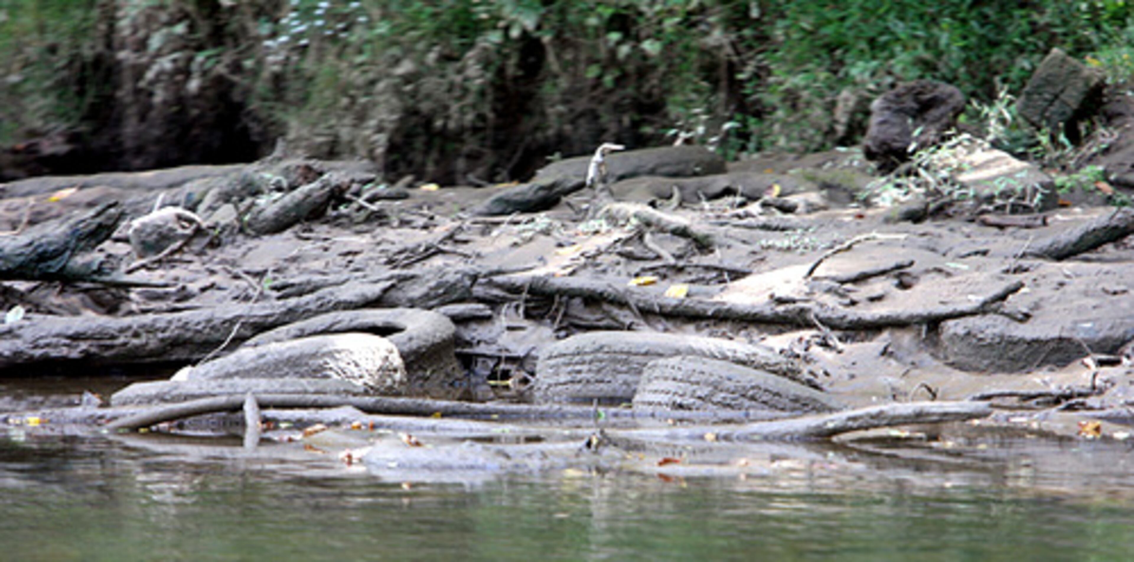 The crew with Riverkeeper Bethea, an advocate for environmental protection of the river, had to navigate around once-submerged rocks, tires and pipes. Old tires that normally would be submerged litter the banks of Buzzard Roost Island, where the Chattahoochee winds its way through South Fulton County.
