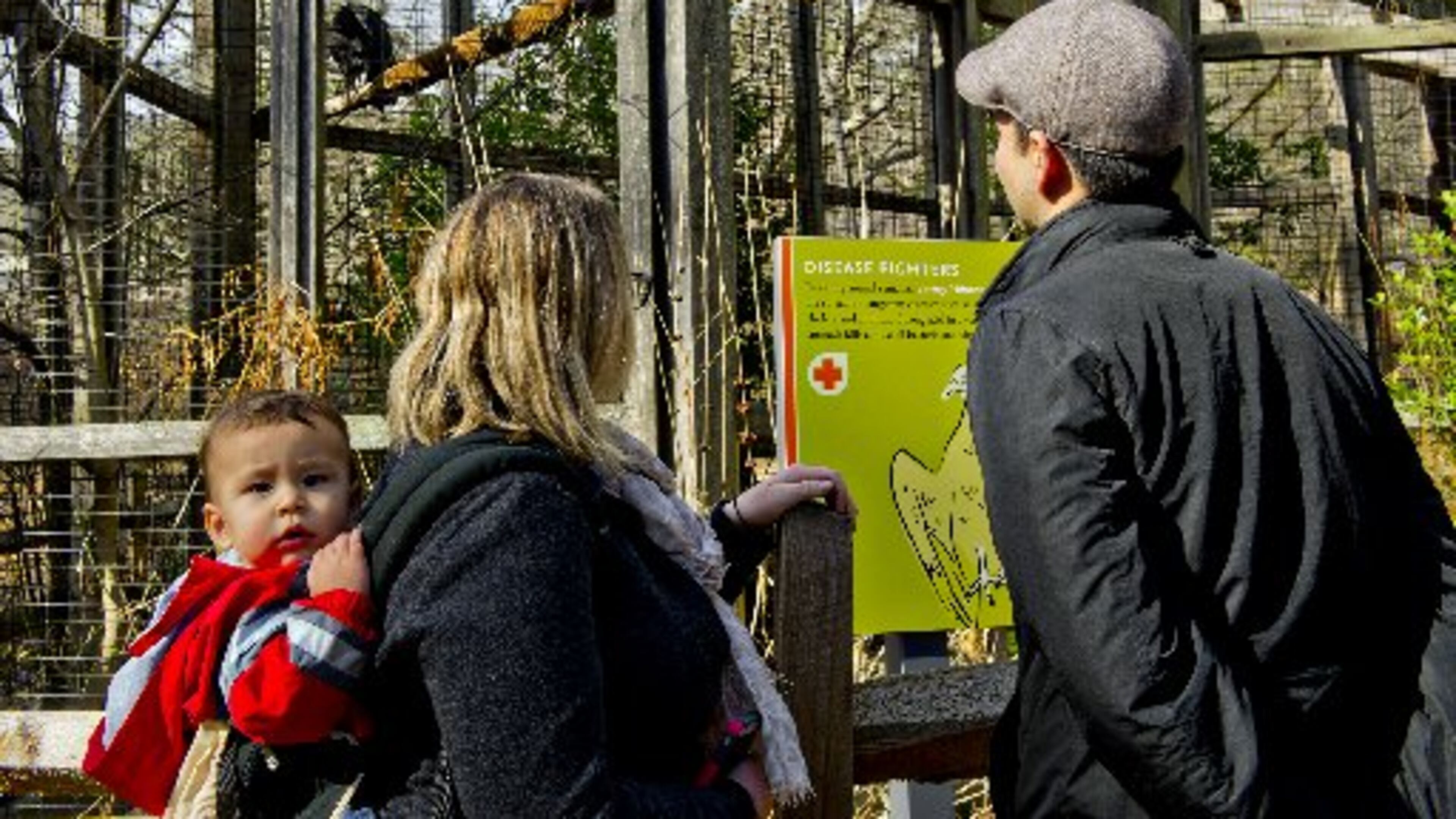 Visitors check out a turkey vulture at the Chattahoochee Nature Center. JONATHAN PHILLIPS / SPECIAL