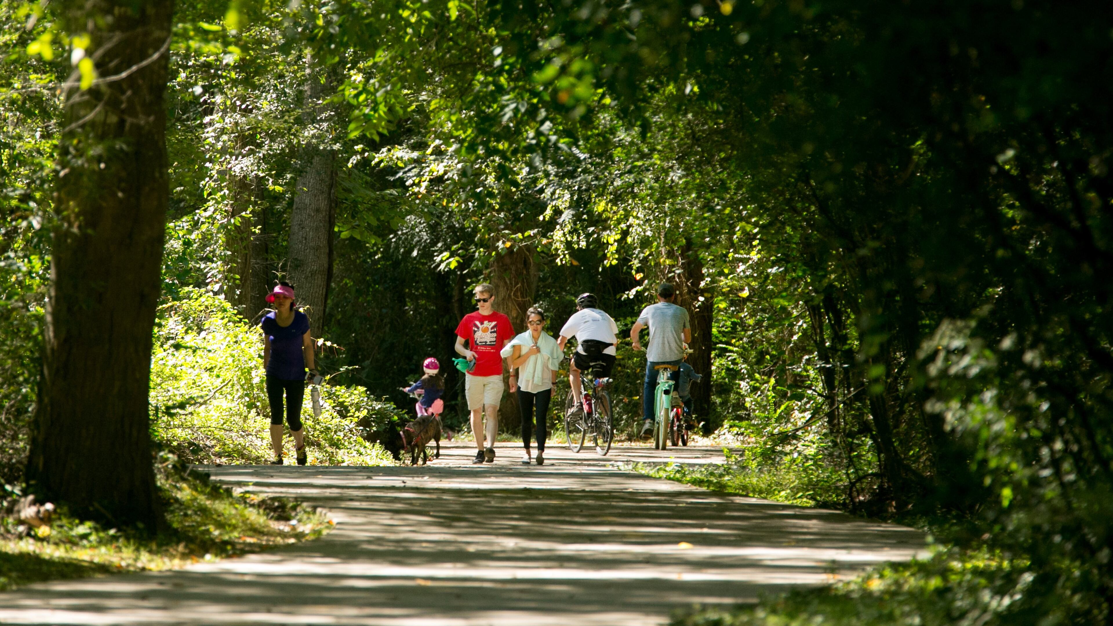 Alpharetta will study connecting the Alpha Loop Trail to the Big Creek Greenway (pictured) with linkages to the planned North Point bus rapid transit station. PHOTO / JASON GETZ