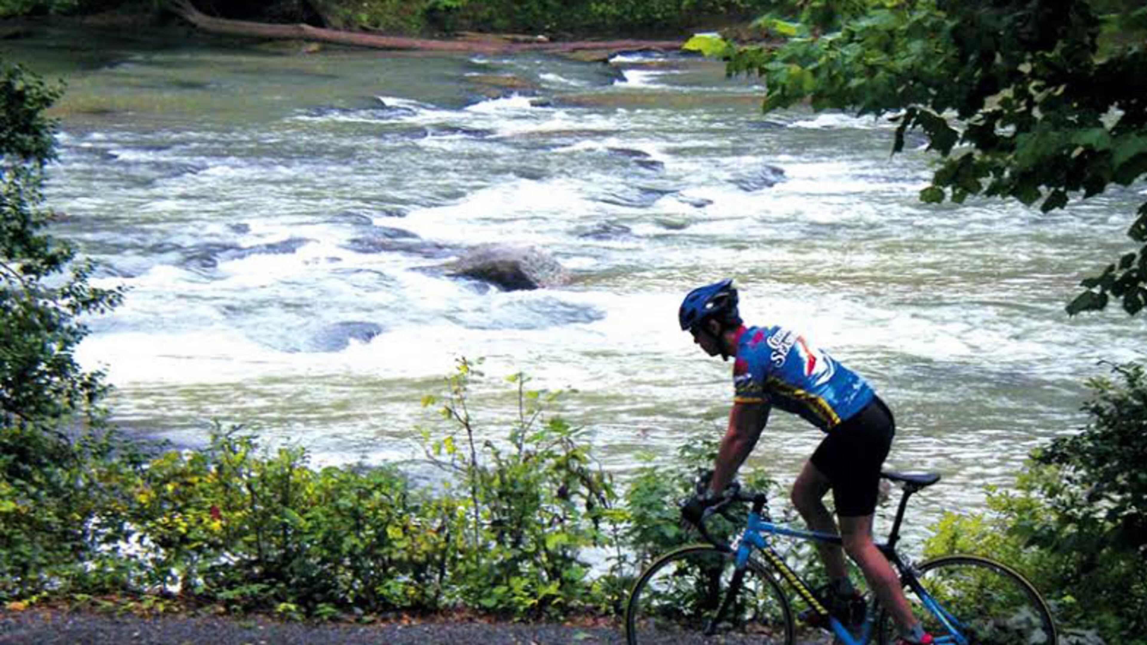 The Roswell Bicycle Advisory Committee has scheduled four meetings in the coming months where residents can advise the city on its bike policies. CITY OF ROSWELL