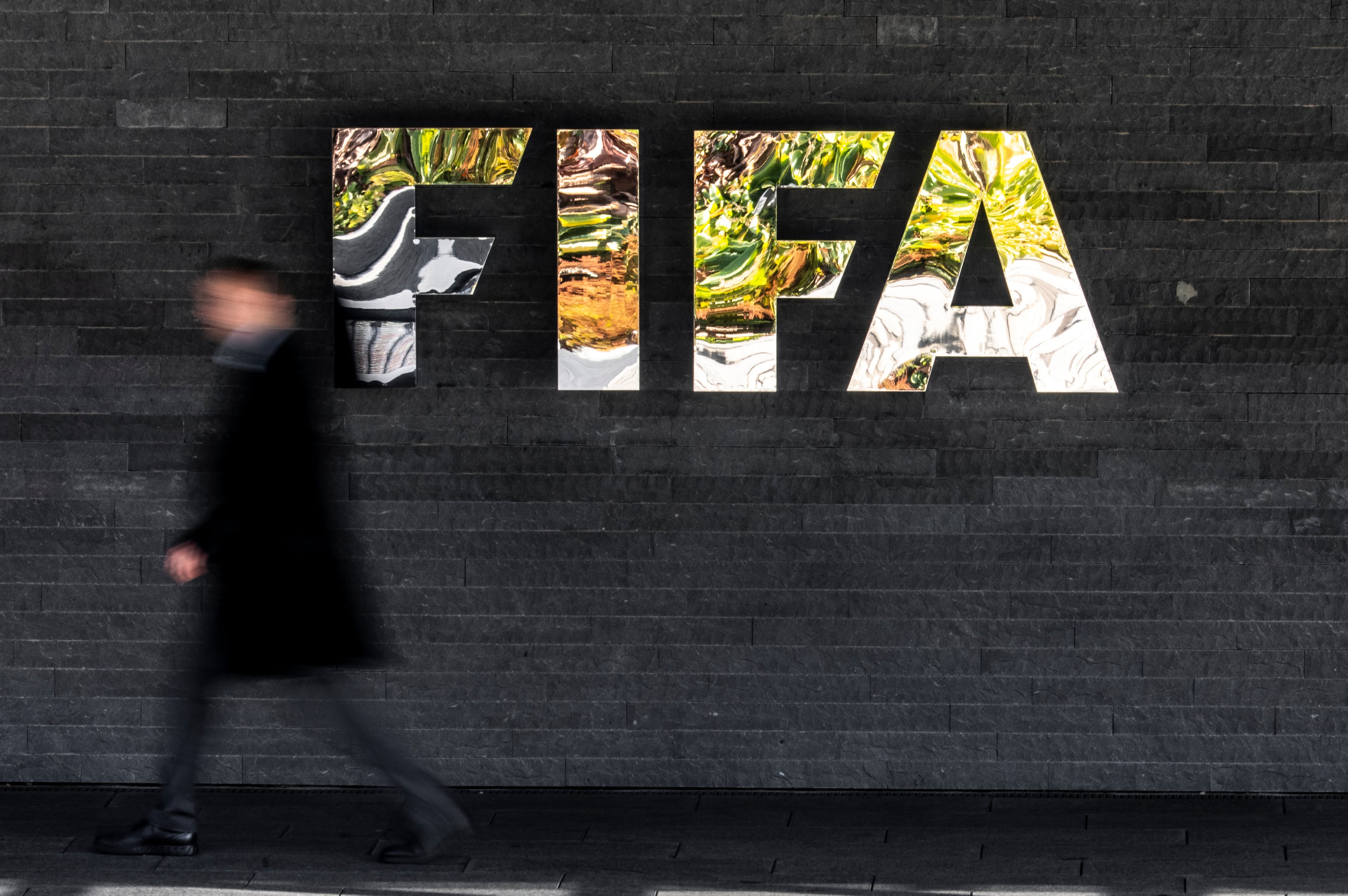Switzerland FIFA Council