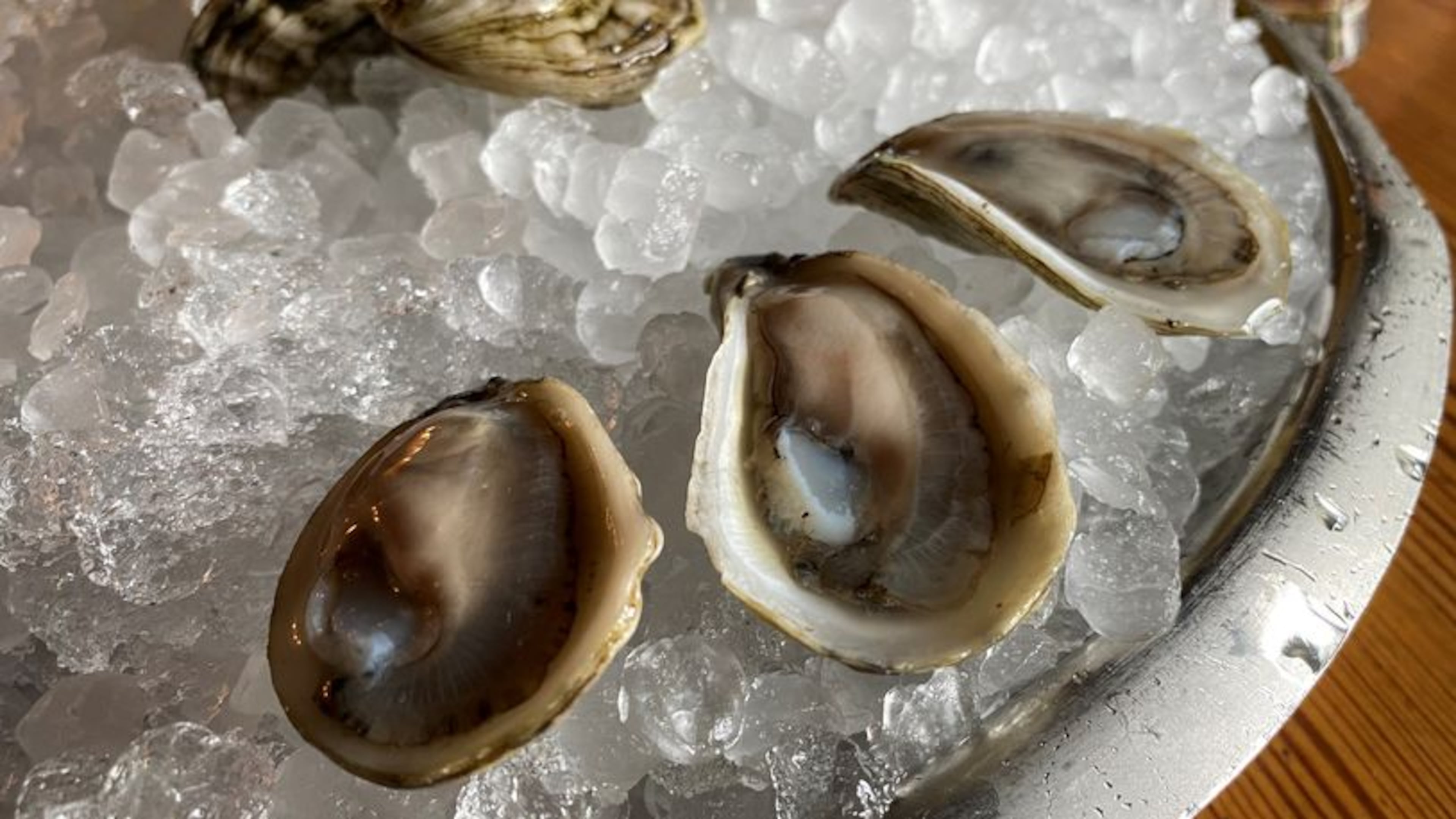Shiny Dimes “cocktail oysters” are farm raised in Florida by the partners at Kimball House.
Bob Townsend for The Atlanta Journal-Constitution
