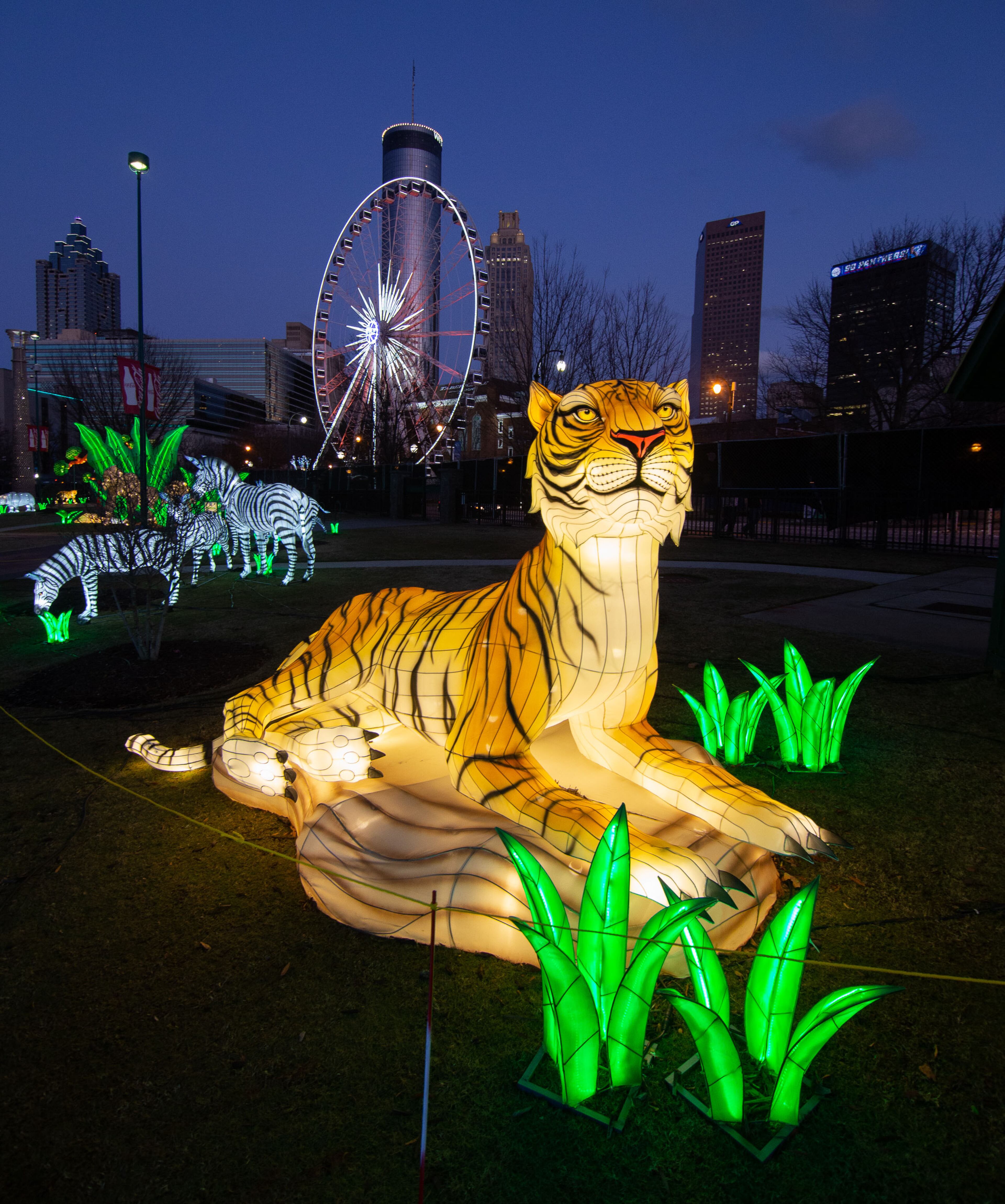 The Tigers lantern is one of the 25 large lanterns on display at the Chinese Lantern Festival at Centennial Olympic Park Saturday, January 04, 2020. STEVE SCHAEFER / SPECIAL TO THE AJC