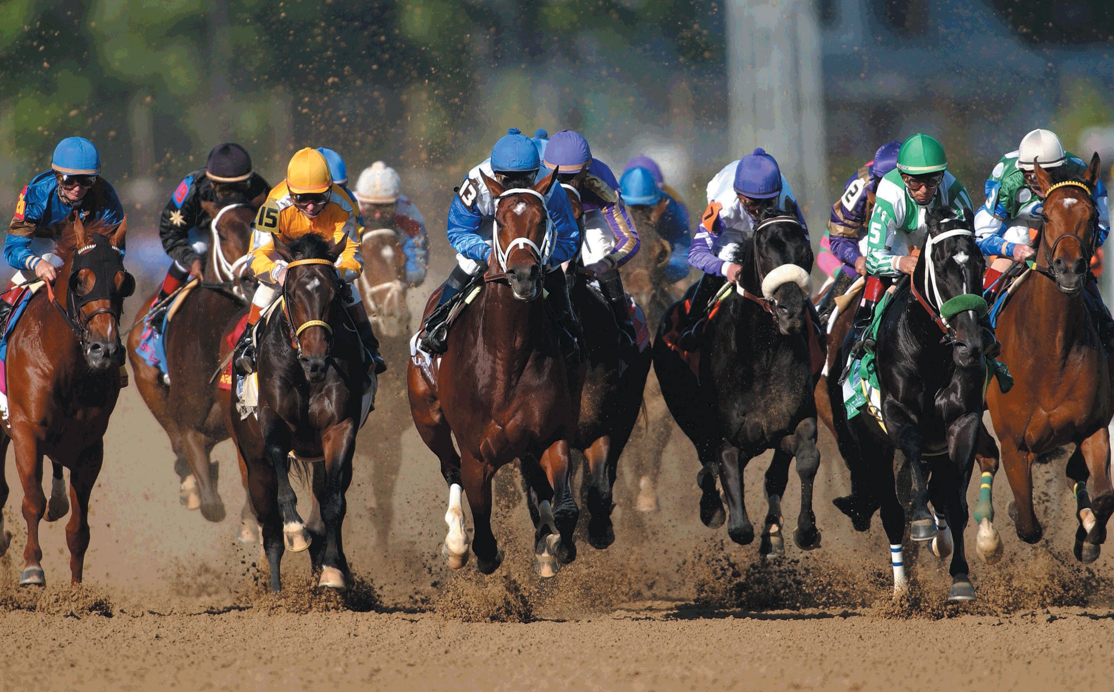 The Kentucky Derby at Churchill Downs. CONTRIBUTED BY THE LOUISVILLE CONVENTION BUREAU