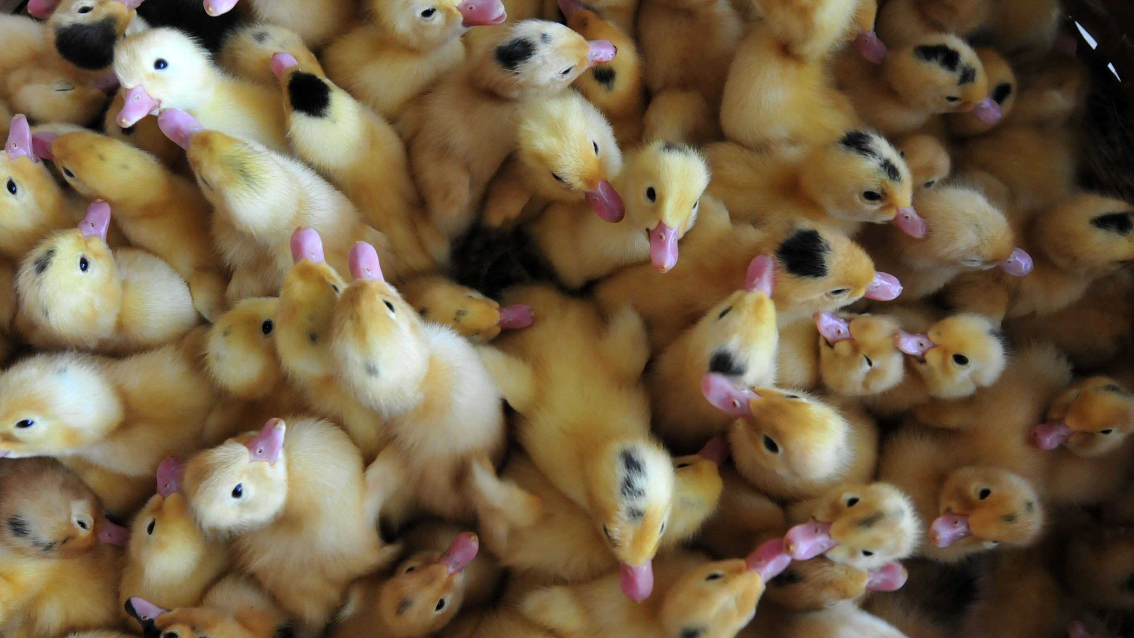 File photo. (Photo by VCG/VCG via Getty Images)