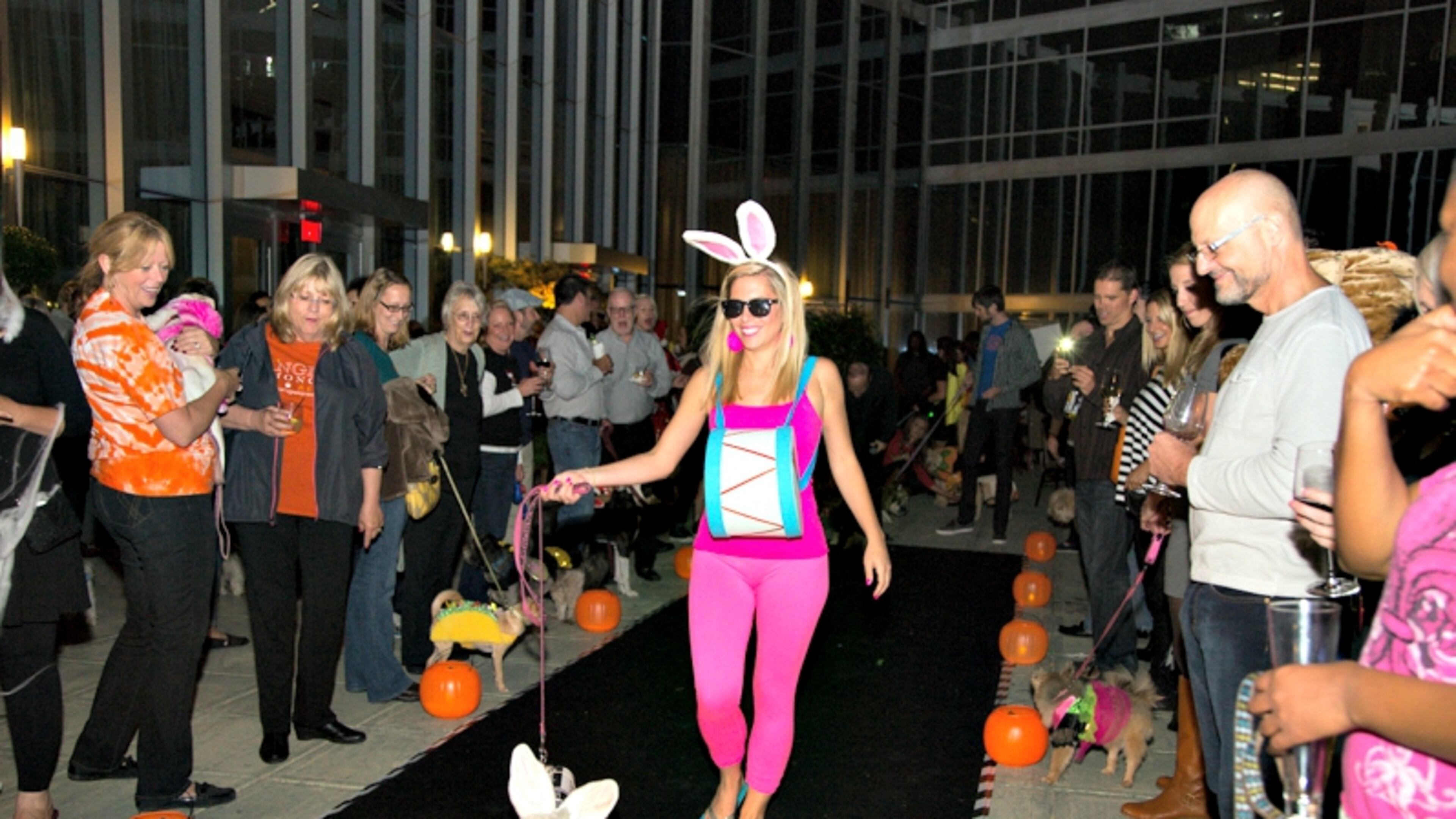 Costumes on the Woof, 2015 edition.