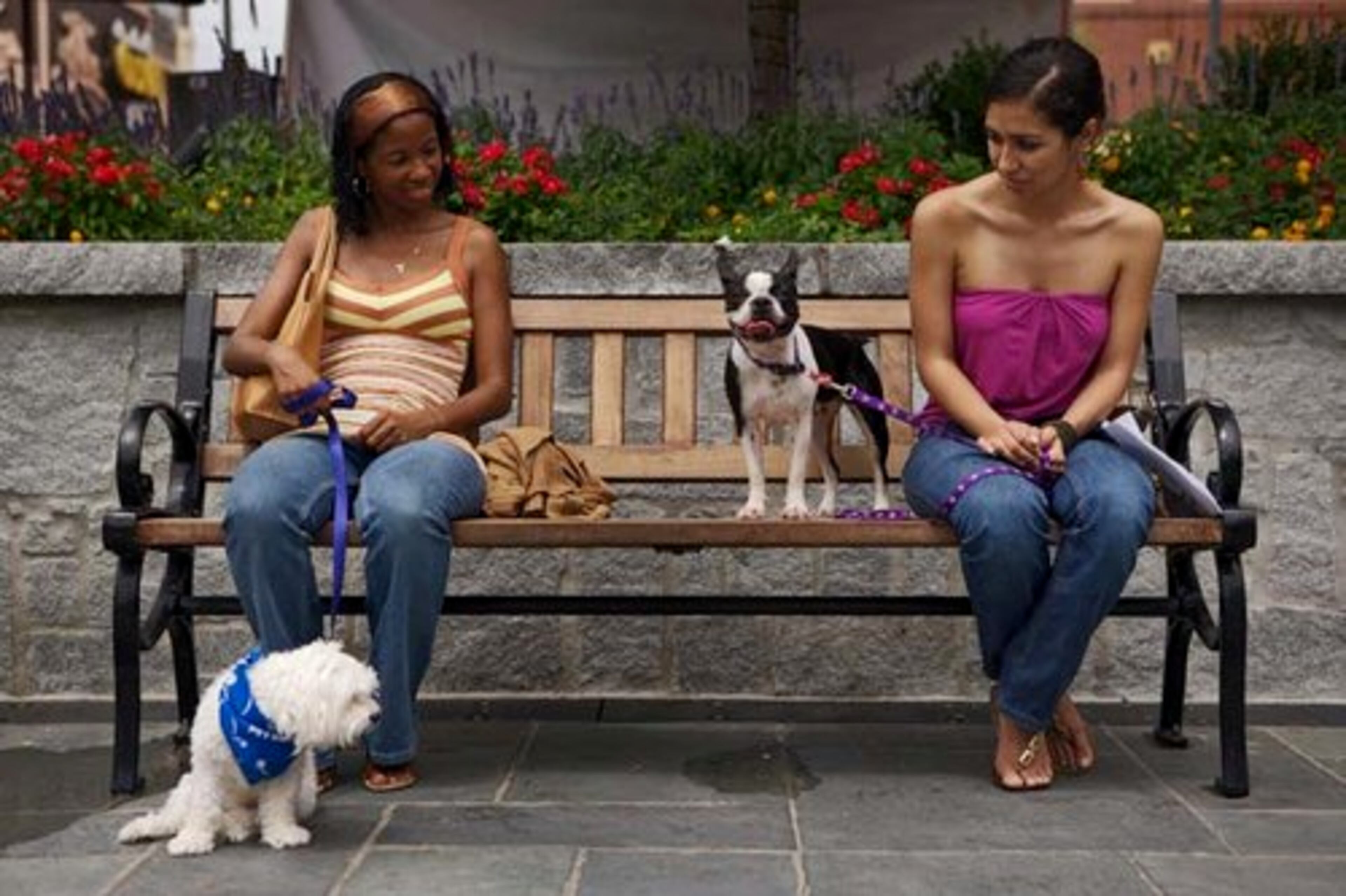 Tammie Spivey, left, with Biscuit, a maltese poodle and Jennifer Ruiz, right, with Luna, a boston terrier, wait for their audition. An animal psychologist, a woman, from Britain, will work with the animals on the show.