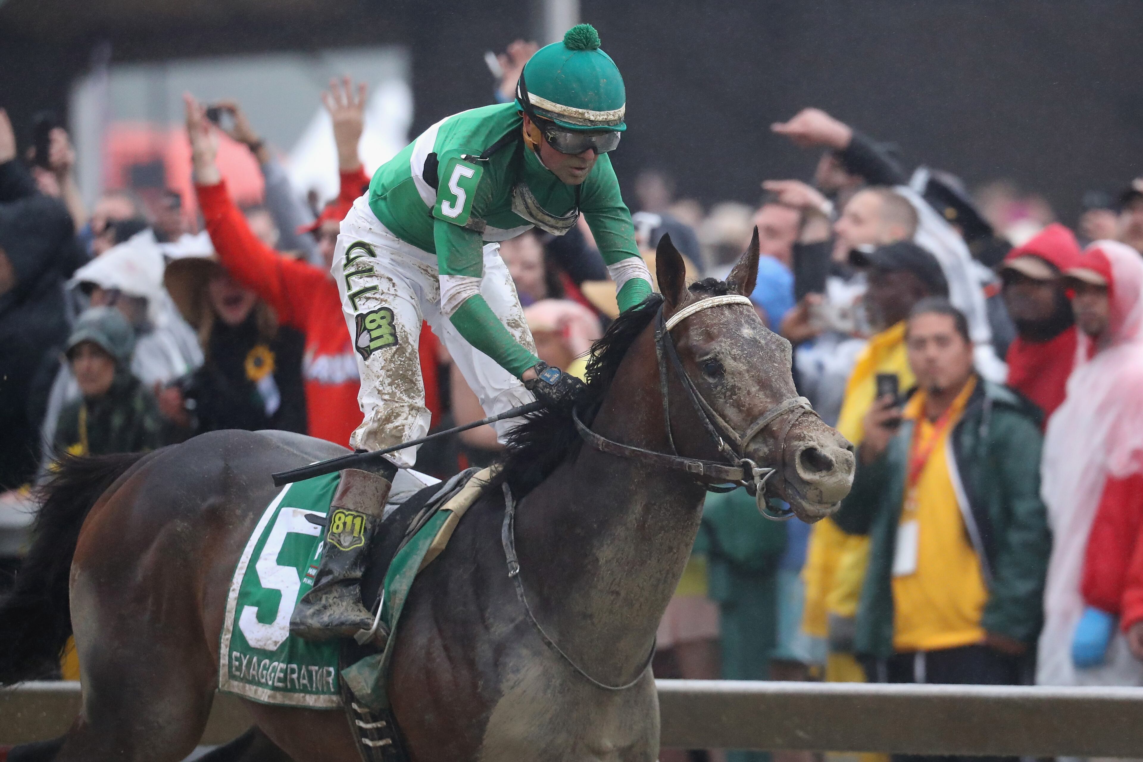 BALTIMORE, MD - MAY 21: Exaggerator ridden by Kent Desormeaux leads the field to win the 141st running of the Preakness Stakes at Pimlico Race Course on May 21, 2016 in Baltimore, Maryland. (Photo by Rob Carr/Getty Images)