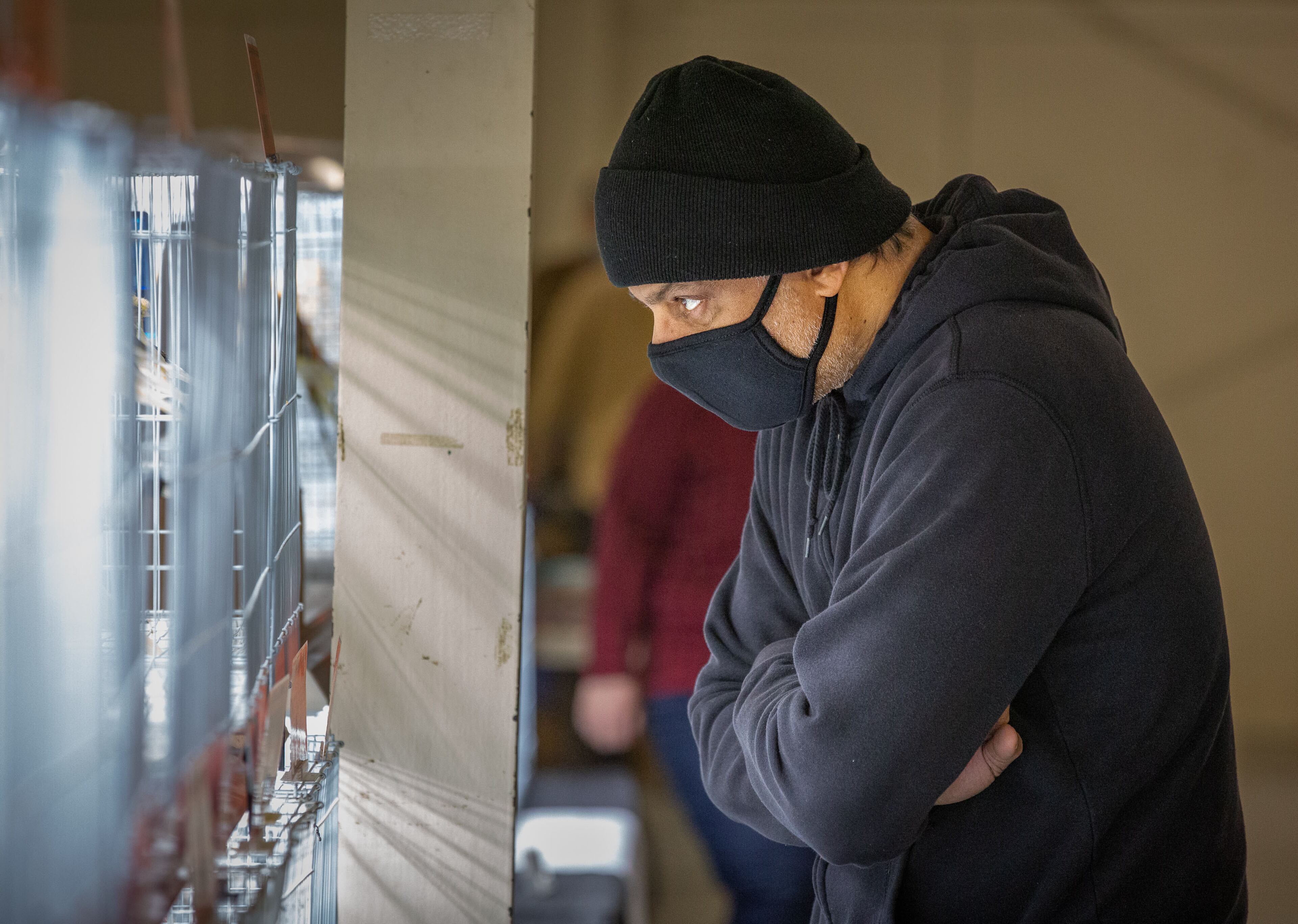 Shah Siddiqui looks over some Gloster canaries at the Southeast Exotic Bird Fair at the Gwinnett County Fairgrounds on Saturday, December 5, 2020. (Photo: Steve Schaefer for The Atlanta Journal-Constitution)