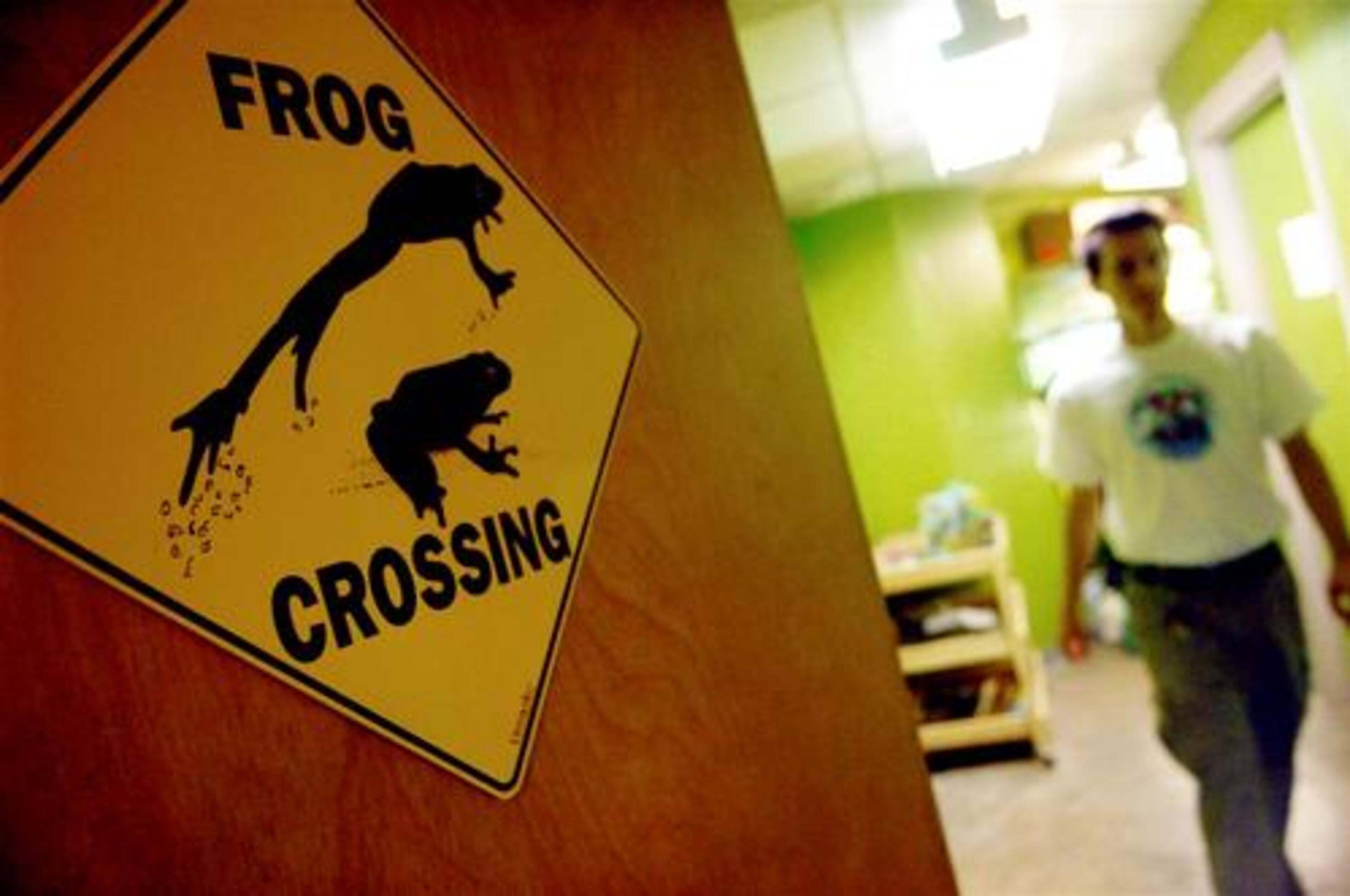 The entrance to the room where the frogs live at the Atlanta Botanical Garden. The Botanical Garden is in the middle of a baby boom, and couldn't be more pleased. This is the Year of the Frog, when scientists across the globe are urging governments to help reverse the collapse of amphibious populations.