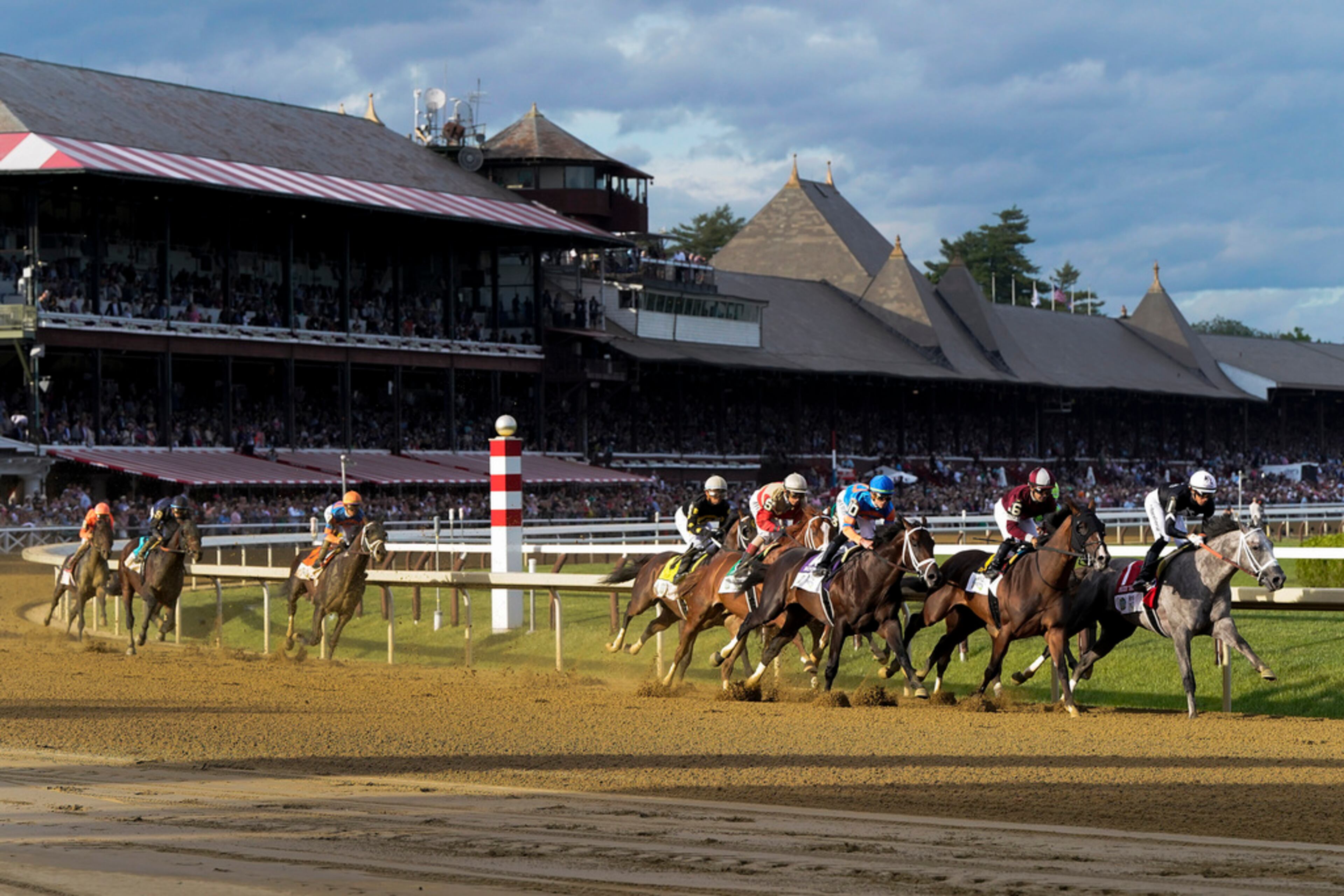 Seize the Grey (1), with Jaime Torres up, and Dornoch, (6), with Luis Saez up, lead the pack around the first turn during the 156th running of the Belmont Stakes horse race, Saturday, June 8, 2024, in Saratoga Springs, N.Y. (AP Photo/Julia Nikhinson)
