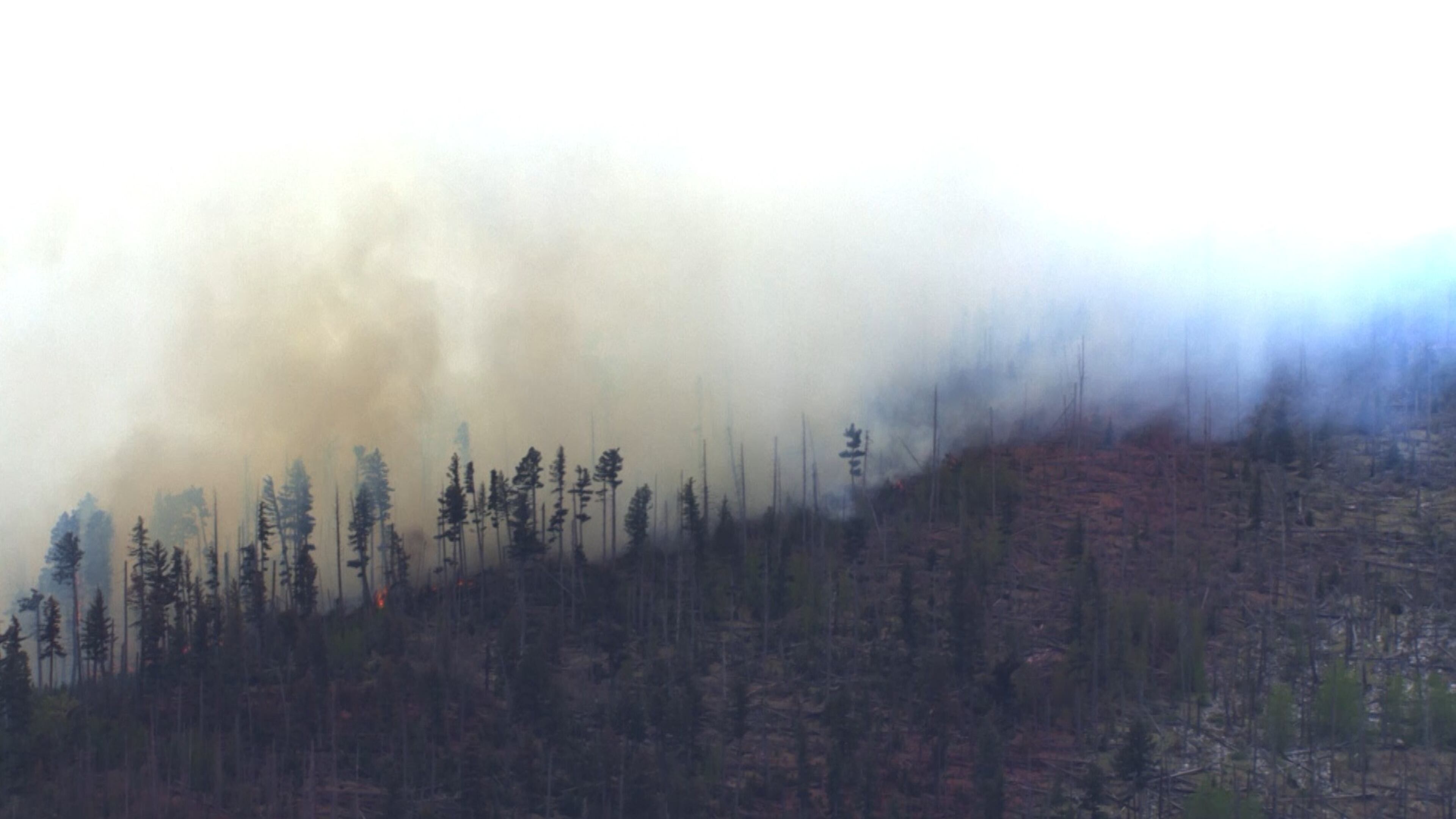 Smoke rises after a small medical plane crashed in a mountain range outside Ruidoso, New Mexico, on Thursday, May 14, 2026. (KOAT via AP)