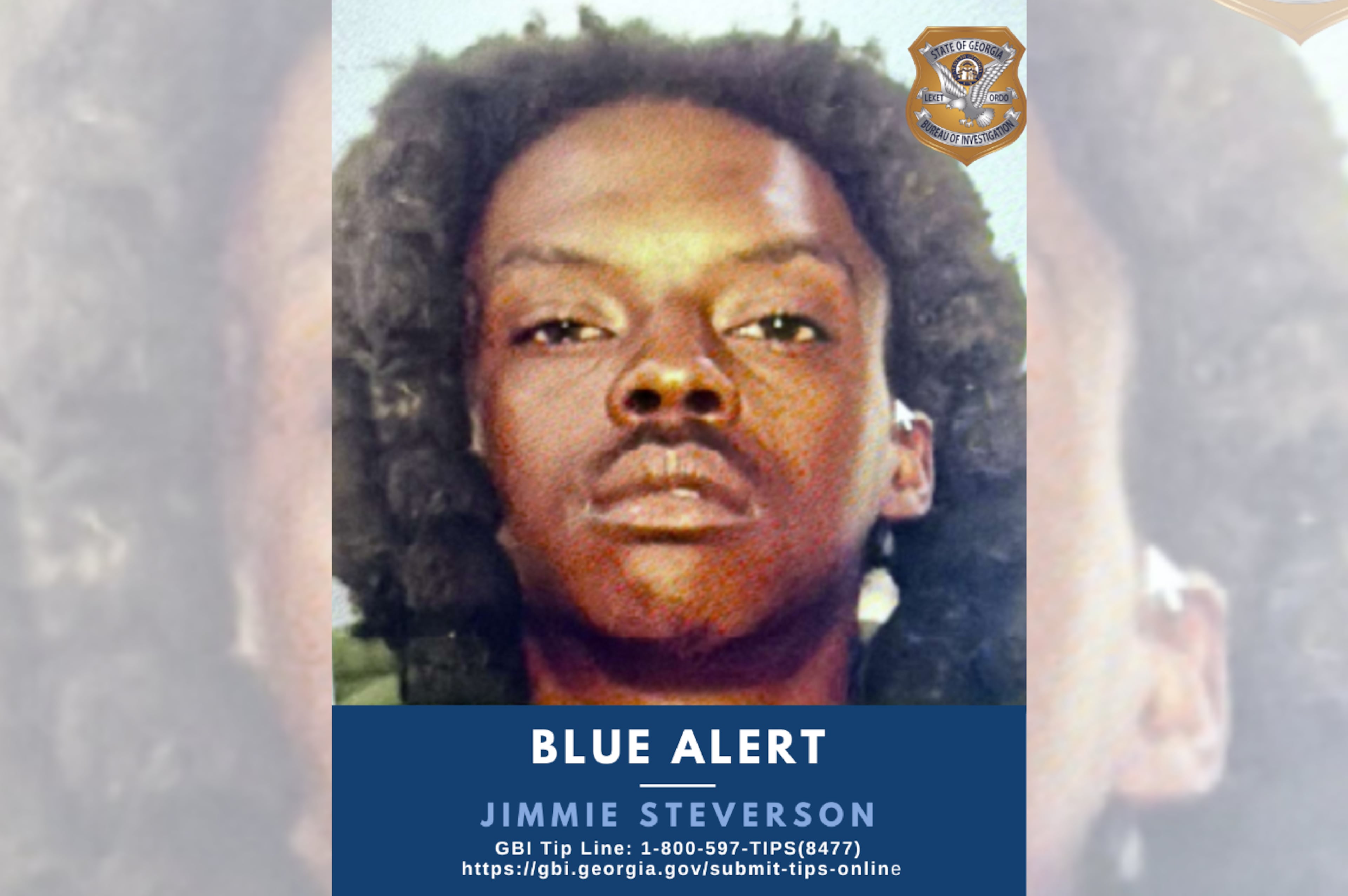 Jimmie Steverson, Warm Springs suspect