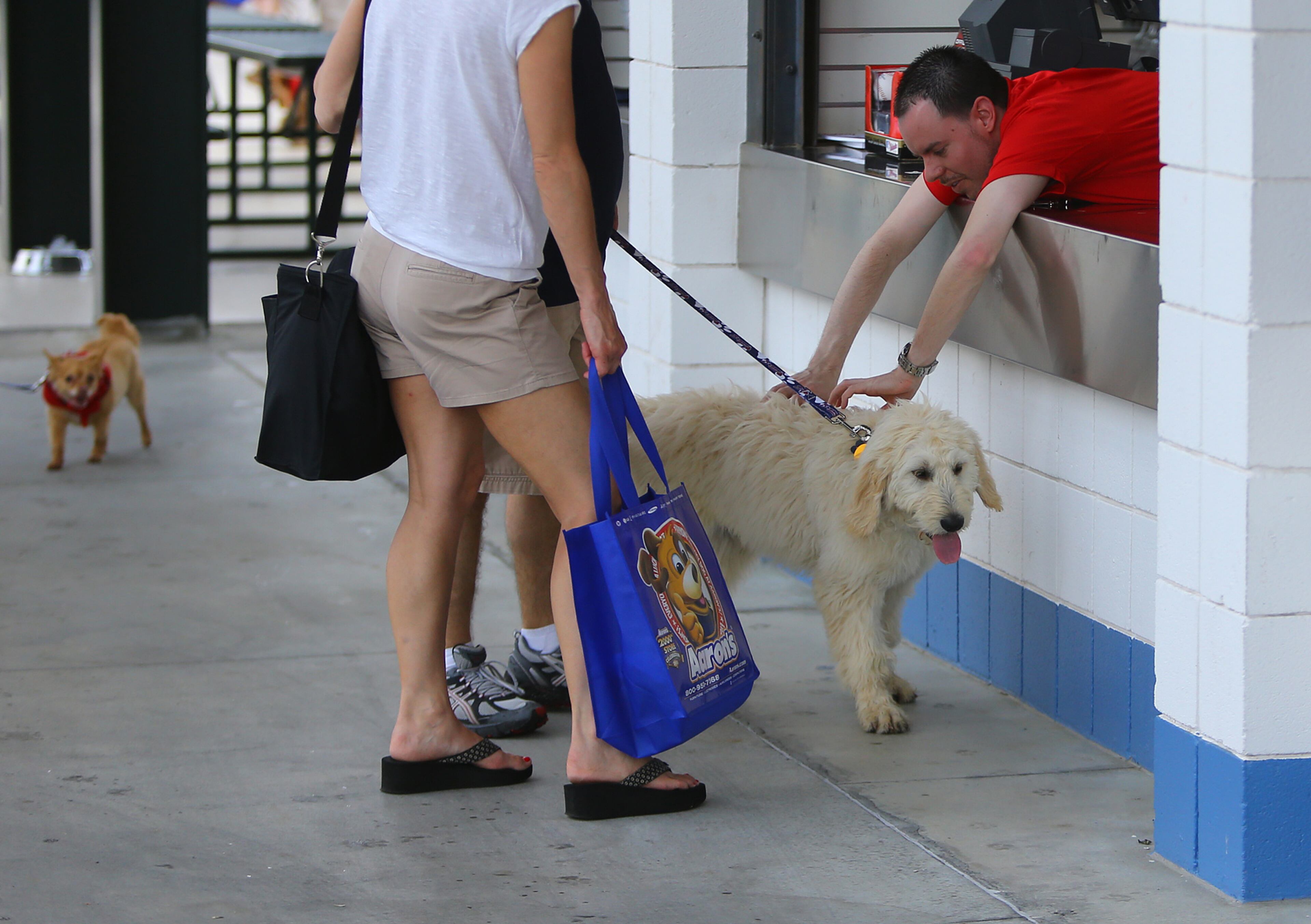 Zack Flesher leans out of his Braves gear booth to pet Sassie during the Braves "Bark in the Park" game against the Reds on Sunday, April 27, 2014, in Atlanta. CURTIS COMPTON / CCOMPTON@AJC.COM