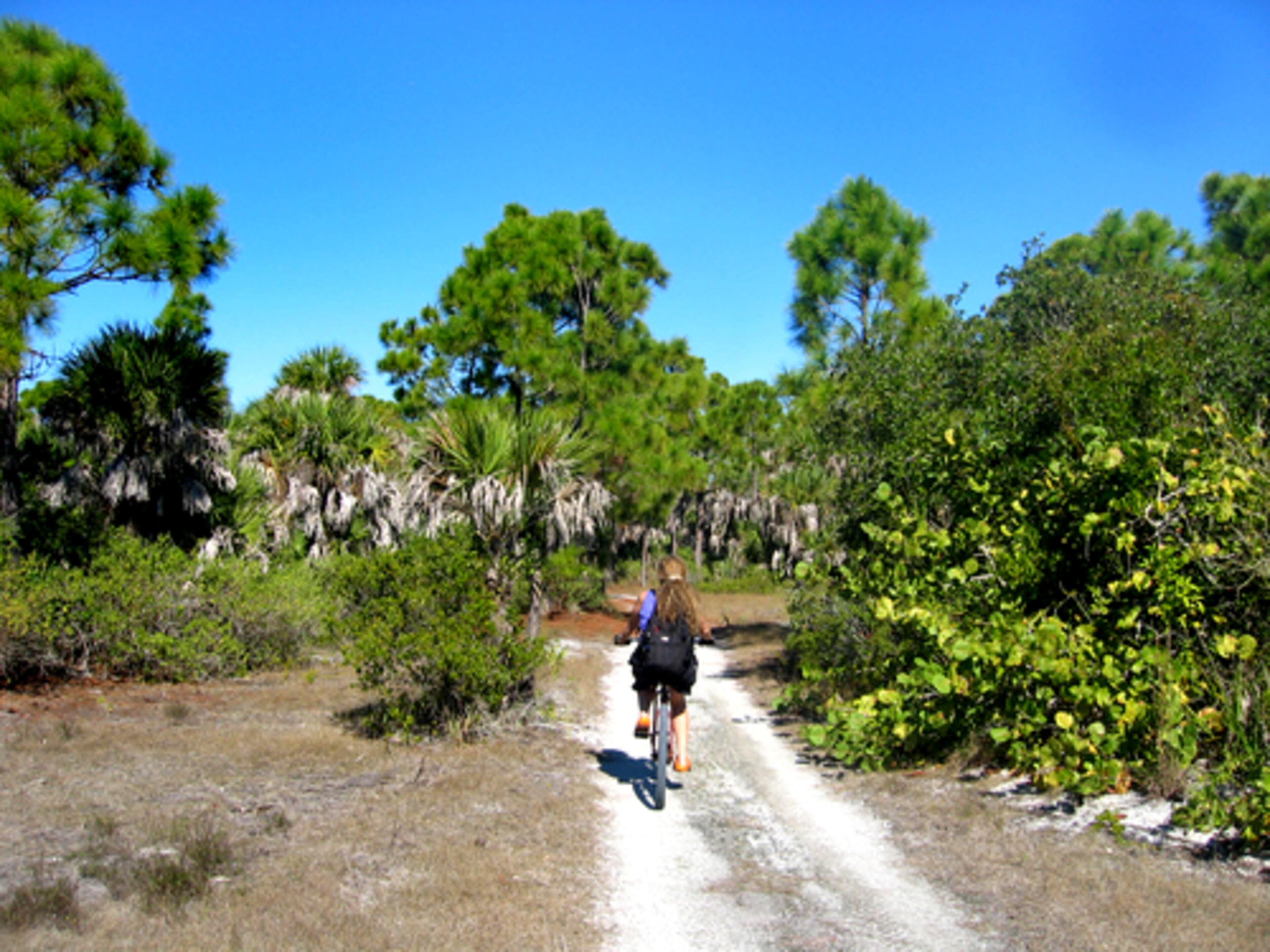 A cyclist explores Cemetery Trail, one of the 5.5 miles of unpaved biking and hiking paths in Cayo Costa park.