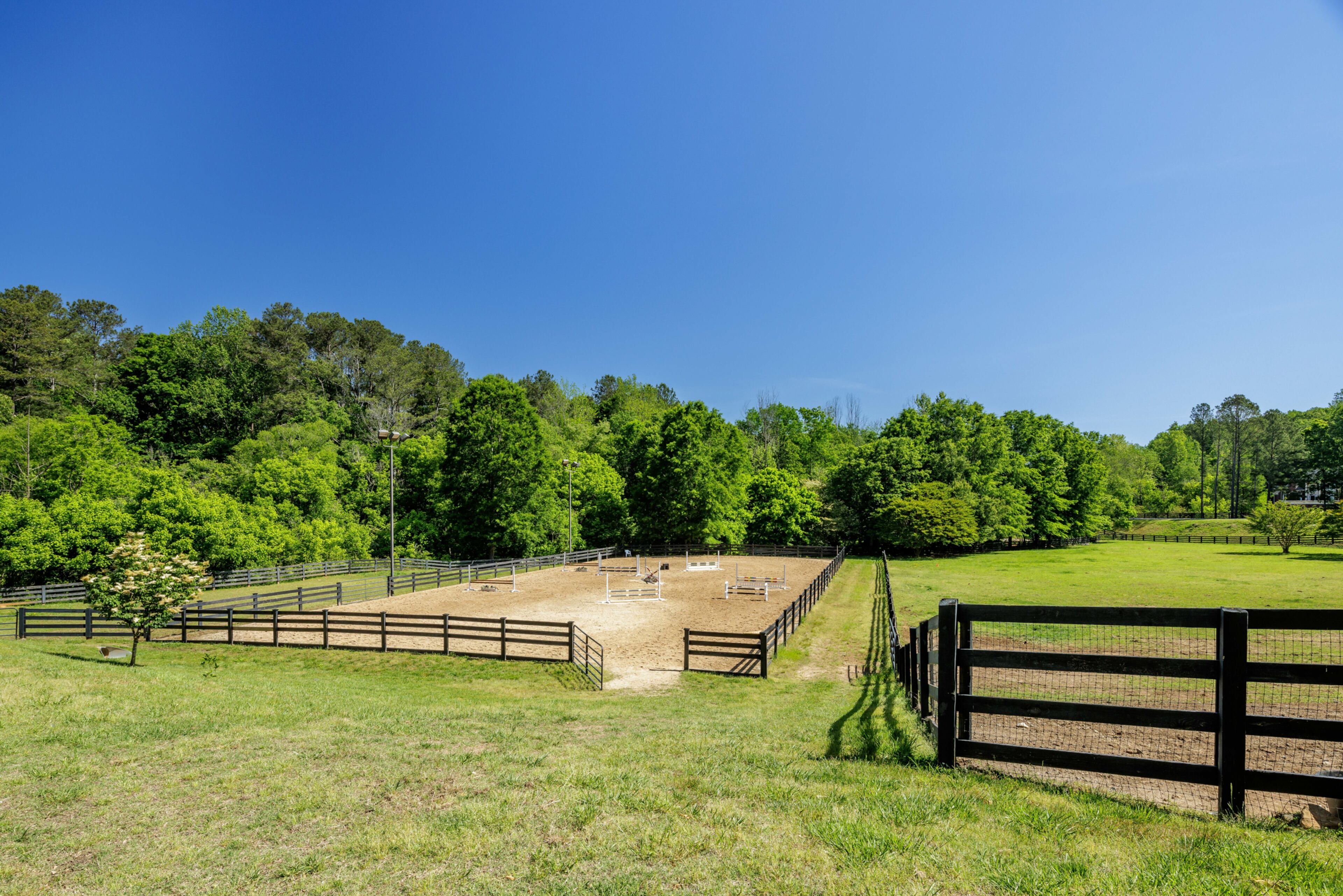 Featured just outside of Atlanta in the town of Milton, this massive mansion comes with its own ranch and its own vineyard.
Courtesy of Interluxe Auctions