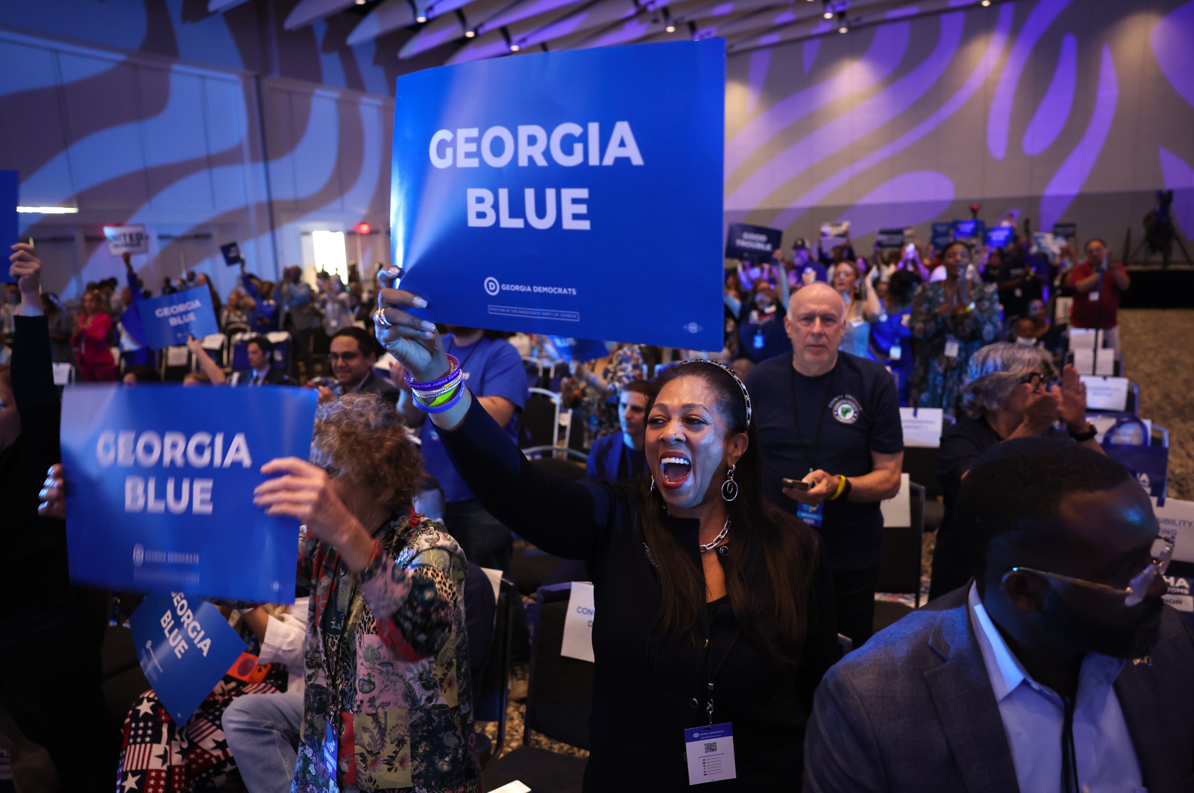 Georgia Democratic convention