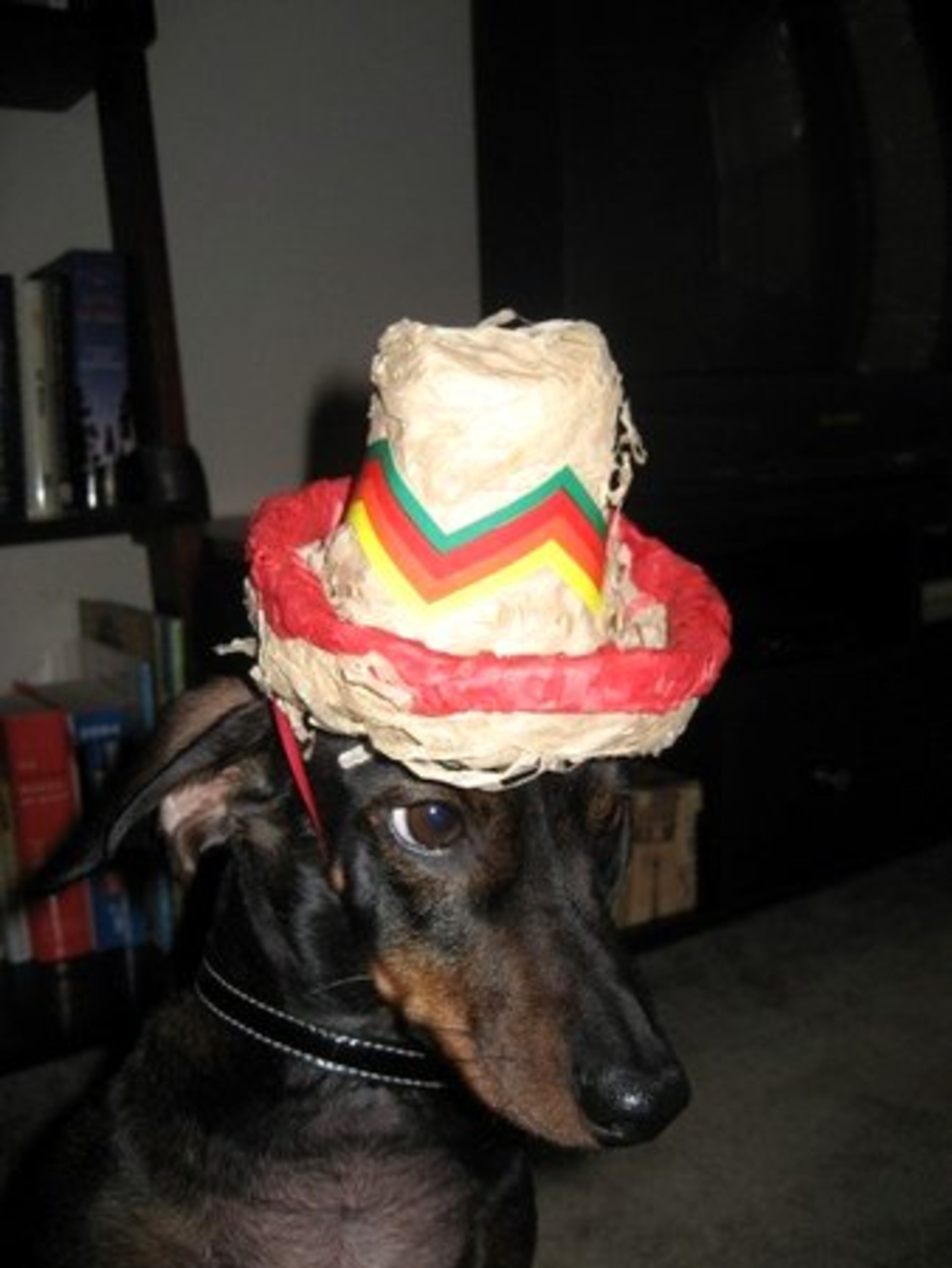 Is it Cinco de Mayo yet? 'Cause I'm ready.