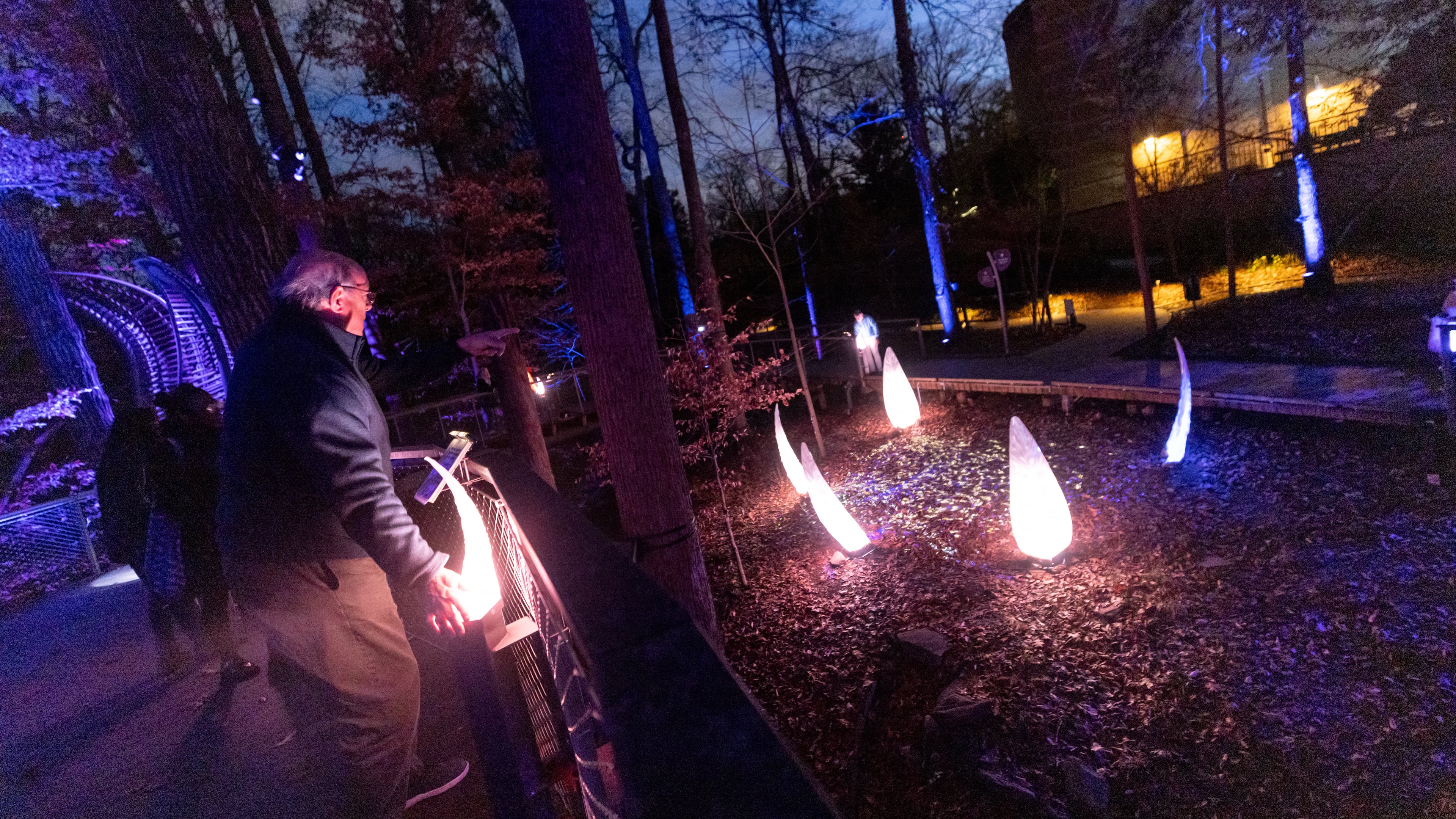 A man interacts with the Wildwoods: AGLOW Experience at the Fernbank Museum in Atlanta, GA, on Friday, December 2, 2022.(Photo/Jenn Finch)