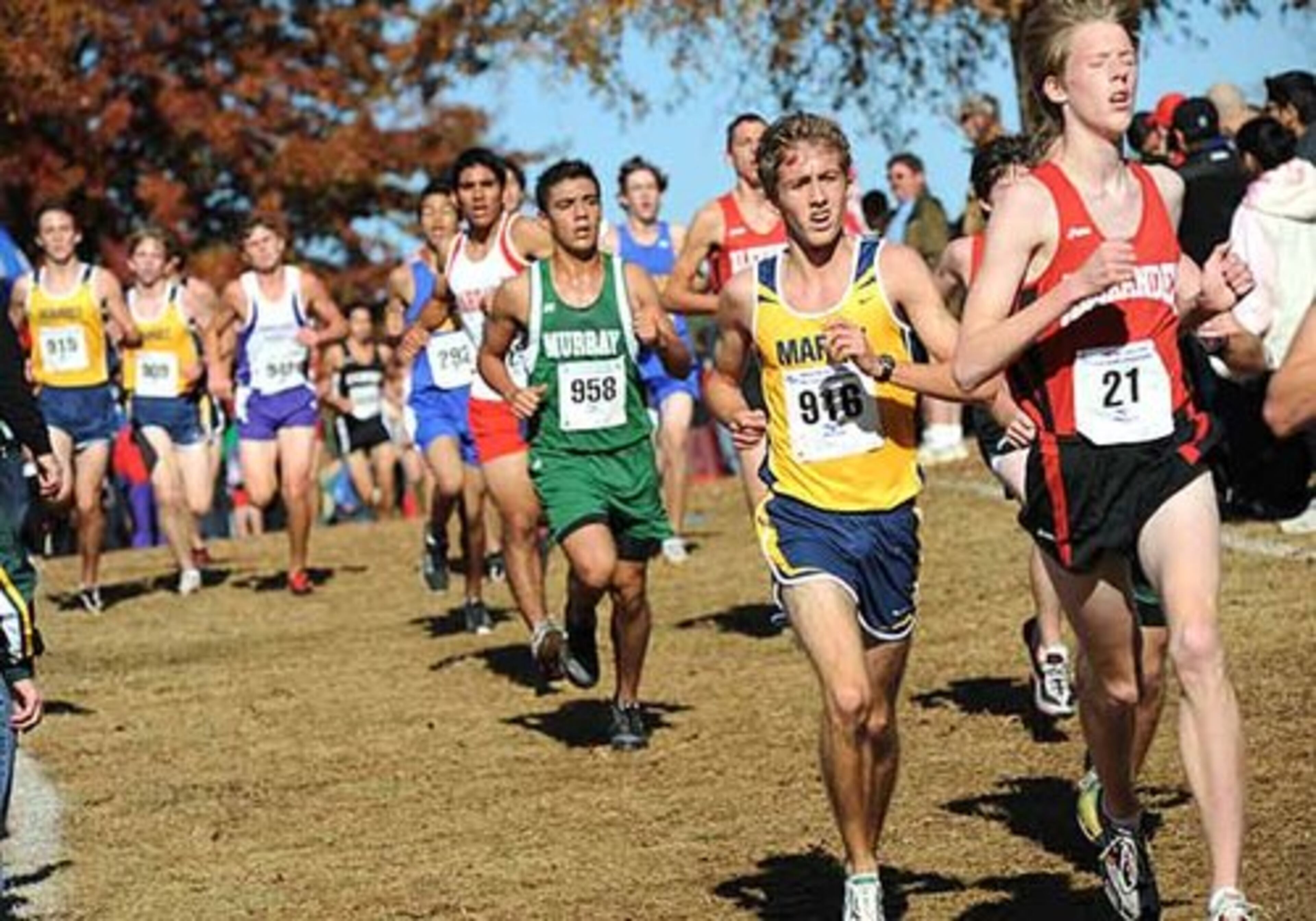 GSHA State Cross Country Meet for the championships at Carrollton High School on Nov. 8, 2008. Weston Smallwood of Alexander HS (front, in red) helps his team take second place, Also pictured: Steven Vickery of Marist (in yellow) and Rafael Pacheco of Murray County (in green).
