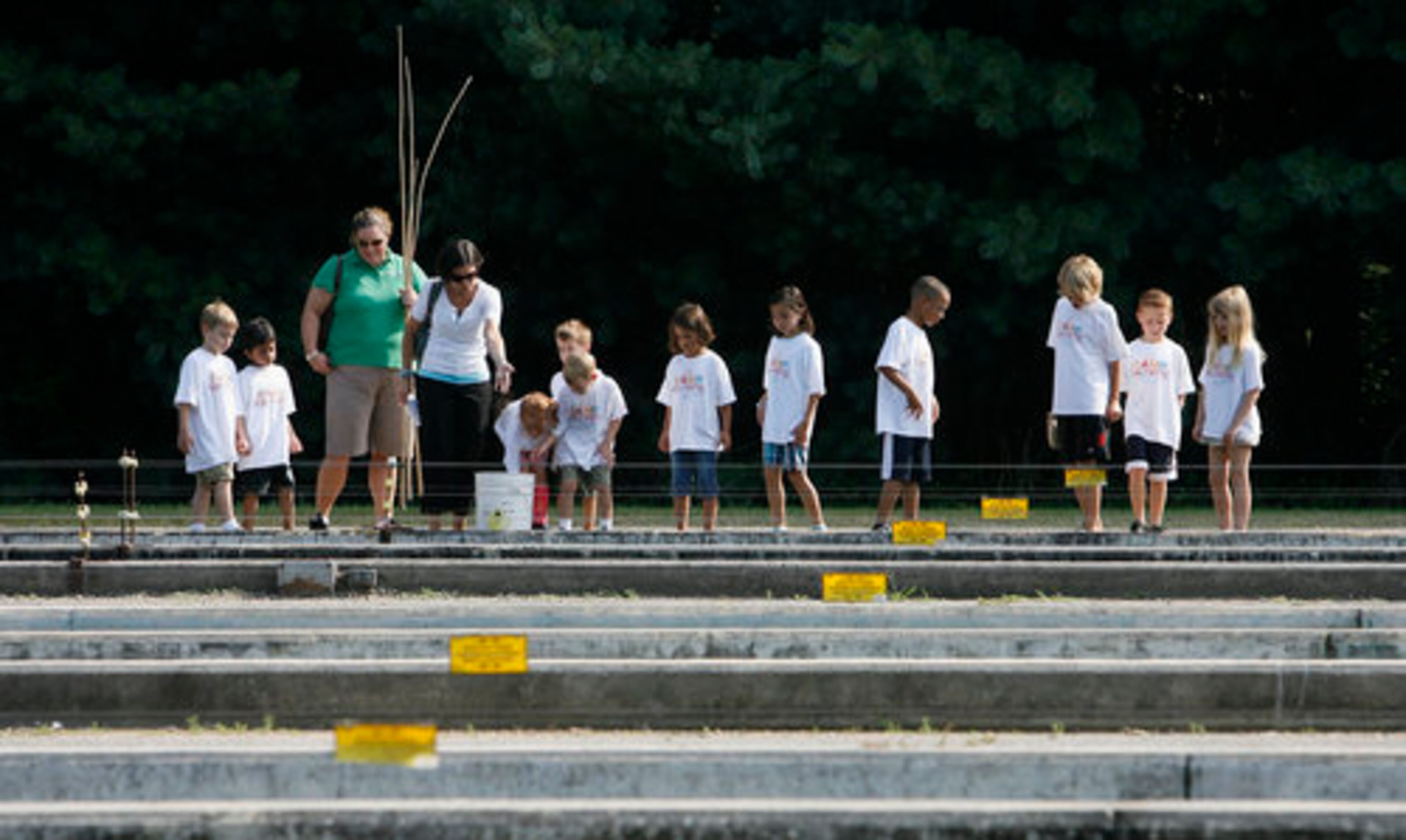 About 1 million brown and rainbow trout are raised at any given time.