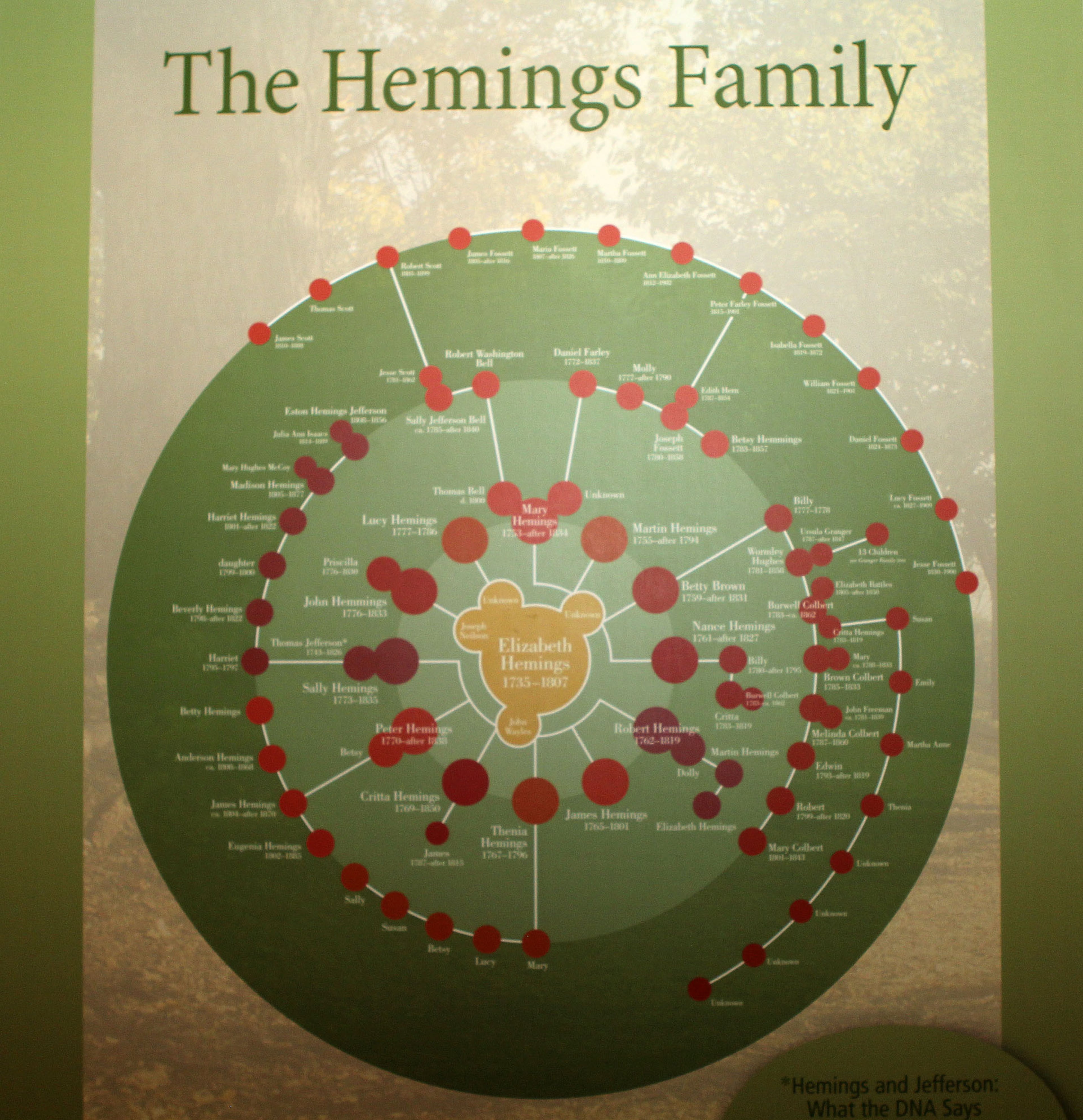 The Hemings family tree is on display at the Atlanta History Center exhibit "Slavery at Jefferson's Monticello: How the Word is Passed Down, " running Feb. 1-July 7 2013.