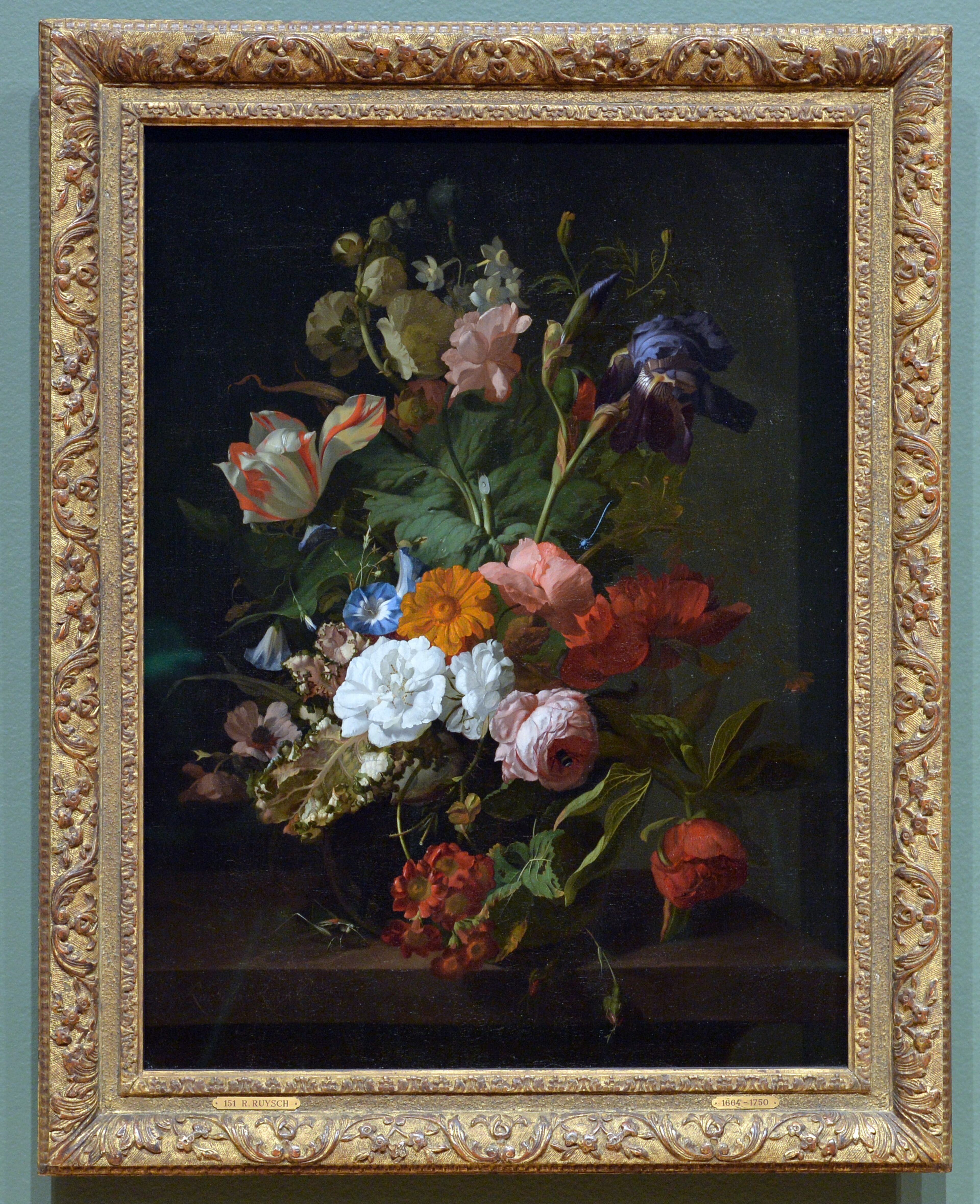 "Vase of Flowers," 1700 , Rachel Ruysch from "Girl with a Pearl Earring: Dutch Paintings from the Mauritshuis."