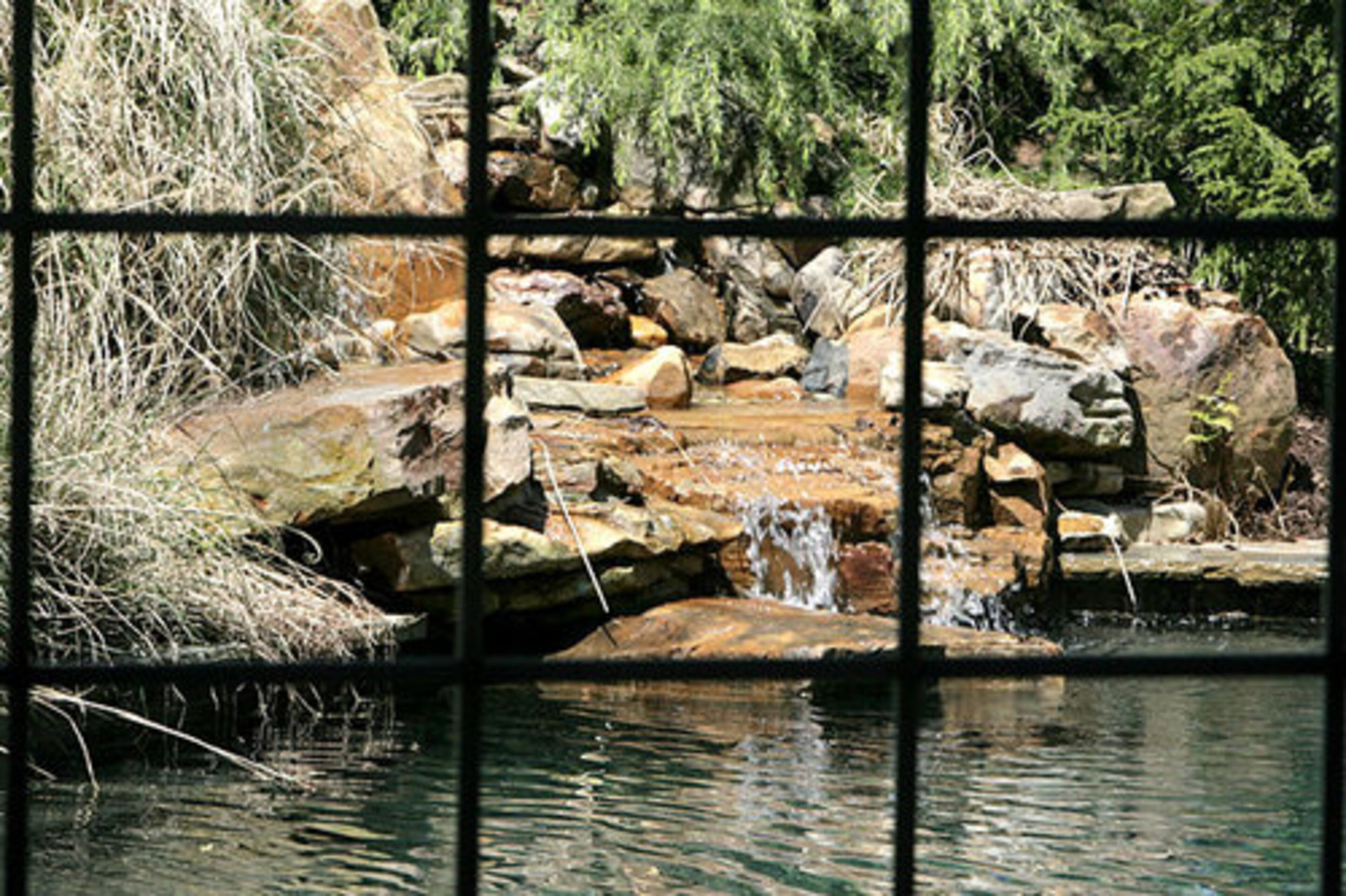 ESSENTIAL ELEMENT #1: Movement of water: Waterfalls, fountains or tiered levels provide extra visual appeal. "Just to give it a little bit of drama in the landscape," Bennett said.