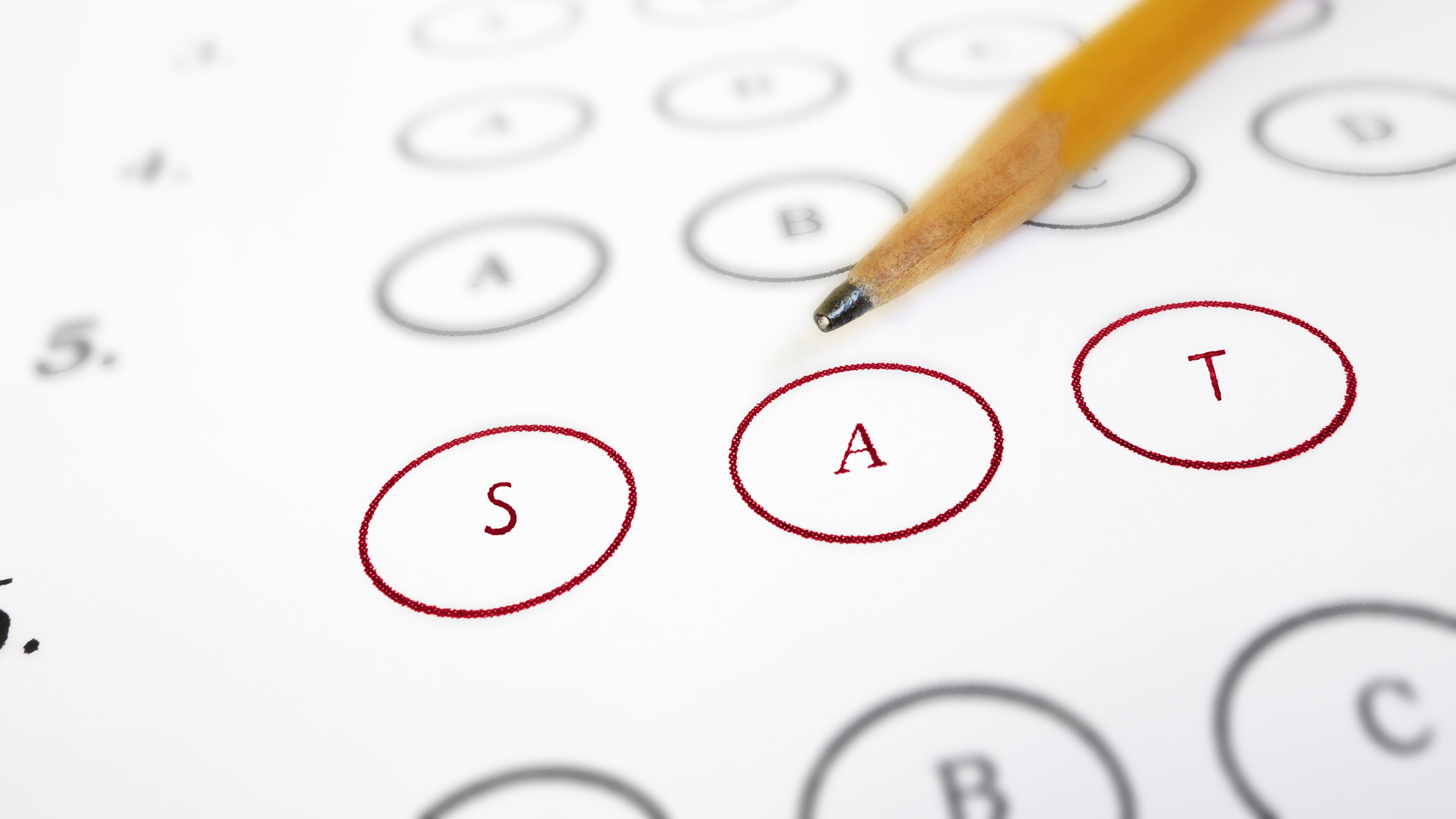 Georgia’s college-bound seniors in the class of 2024 performed better than the national average on the SAT. (Zimmytws/Dreamstime/TNS)